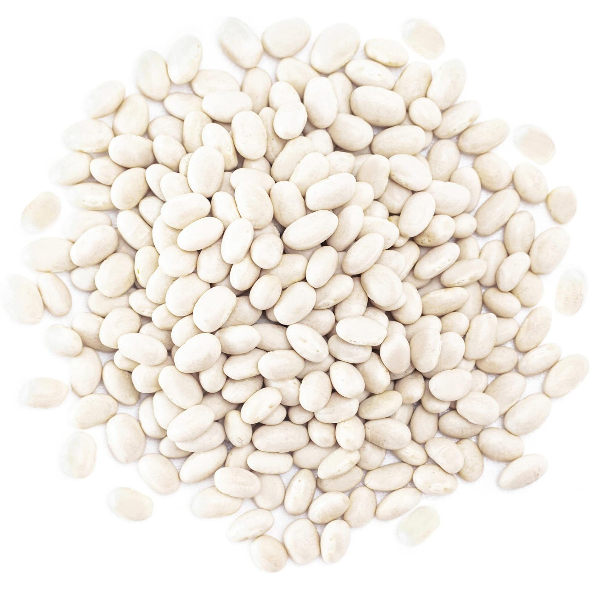 Food To Live Organic Navy Beans, 15 Pounds Non-Gmo, Kosher, Vegan, Dried White, Bulk. High In Protein And Dietary Fiber