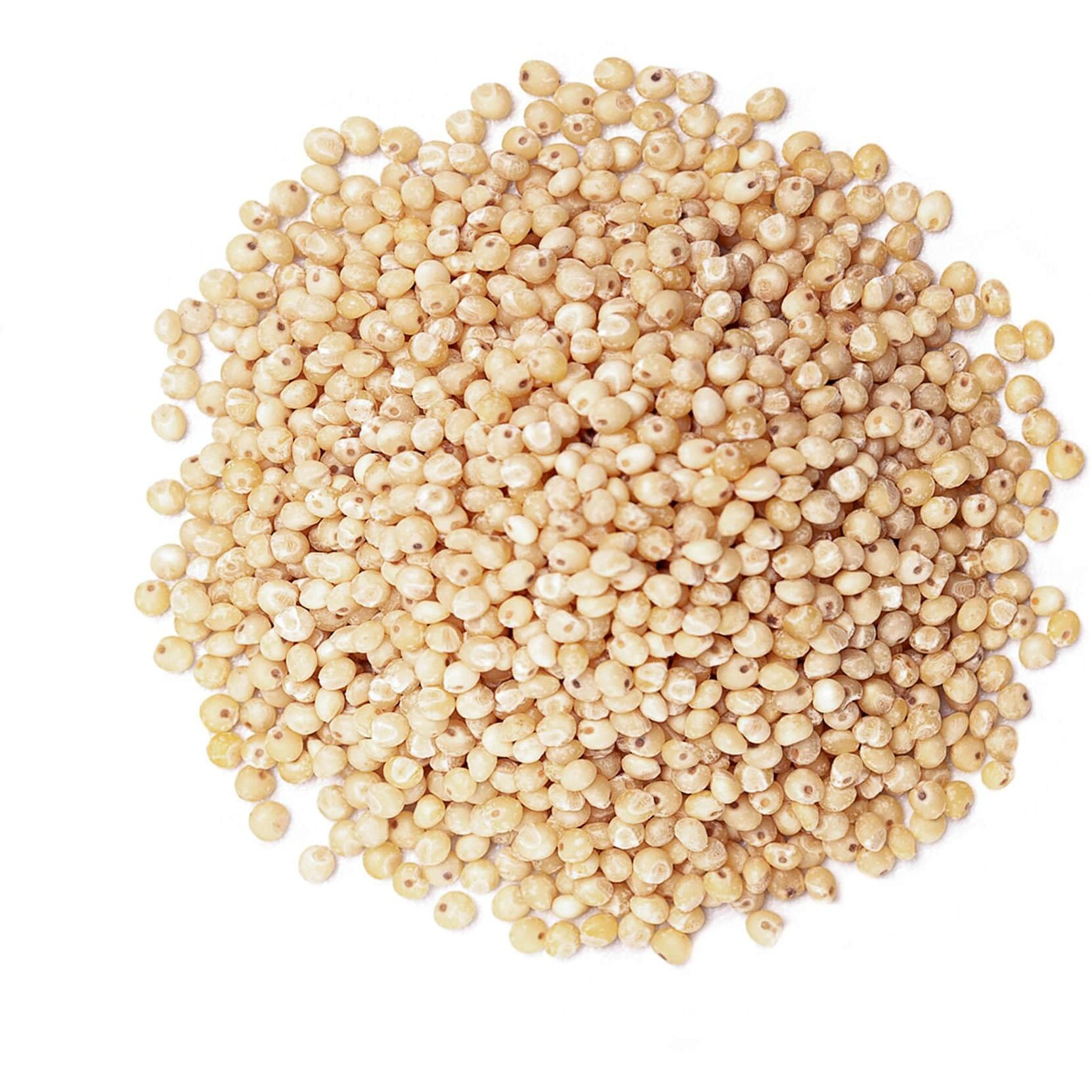 Food To Live Organic Whole Grain Sorghum, 10 Pounds - Non-Gmo White Groats. Raw Milo Seeds. Vegan, Bulk Broom-Corn. Durra Is Great For Making Flour And Popped Jowar Dhani