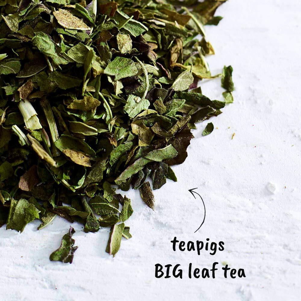 Teapigs Peppermint Leaves Loose Tea Made With Whole Leaves (1 Pack Of 100G)