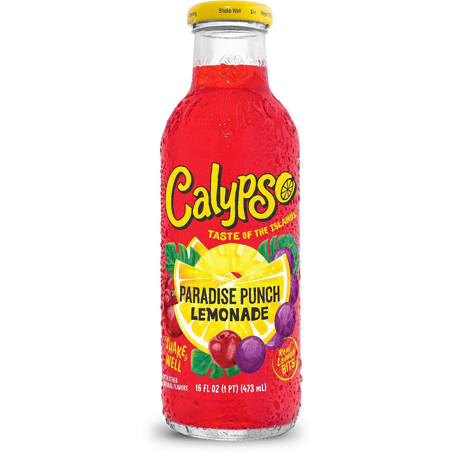 Calypso Lemonades | Made With Real Fruit And Natural Flavors | Paradise Punch Lemonade, 16 Fl Oz (Pack Of 12)