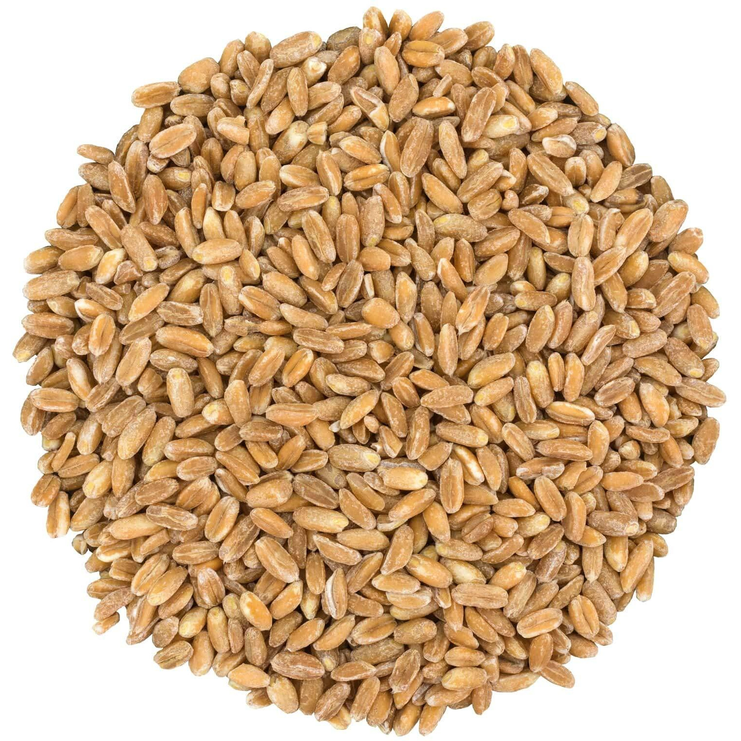 Food To Live Pearled Farro Grain, 1 Pound - Kosher, Vegan, Whole Grain In Bulk, Good Source Of Dietary Fiber, Protein And Iron