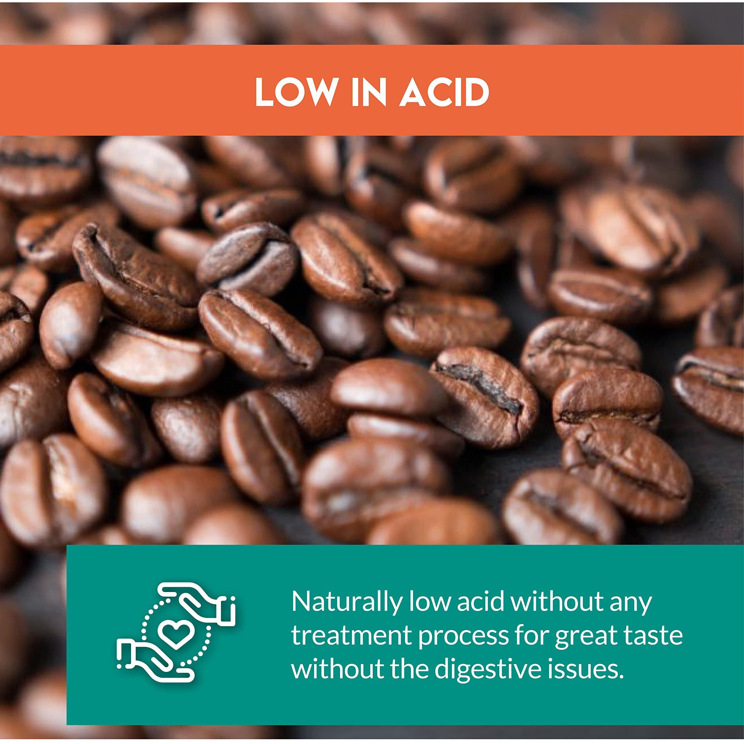 Clean Coffee Co. | Low Acid Coffee, 12Oz Bag Ground Coffee | Medium Roast From Papua New Guinea | Toxin And Mold Free, Antioxidant Rich, Smooth Taste For Espresso, French Press, Or Iced Coffee