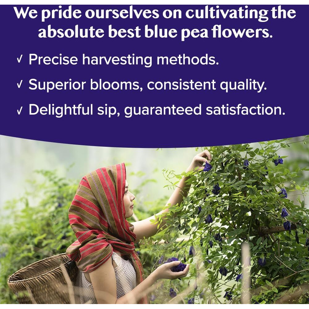 Vahdam, Butterfly Pea Flower Tea Bags (40 Pyramid Tea Bags) Vegan, Non-Gmo | Delicate & Earthy | Direct From Source - Plant Based Biodegradable Tea Bags | Brew Iced Tea, Cooking, Mocktails & Cocktails