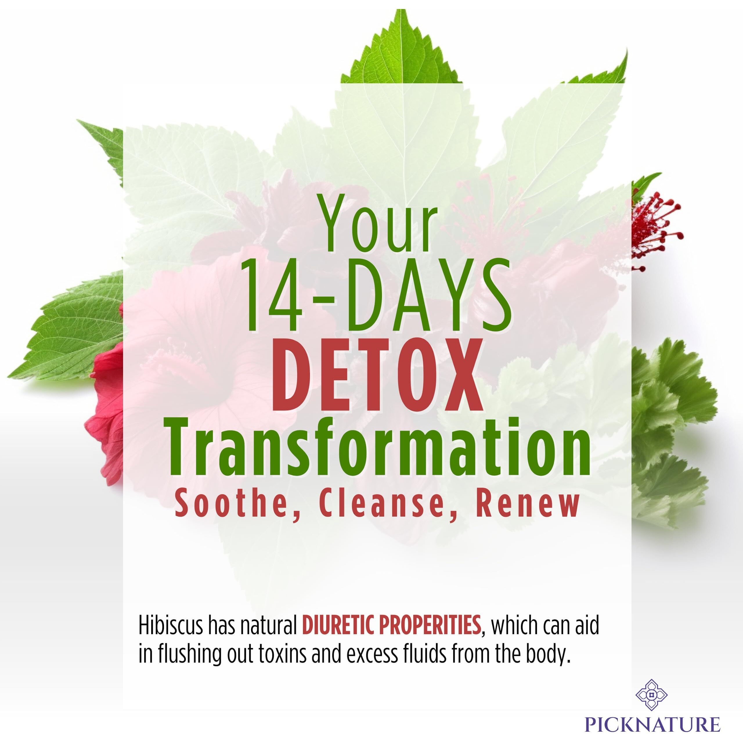 Picknature Hibiscus Detox Cleanse Tea Freshly Picked From Thailand | 60 Tea Bags (Value Pack 200+ Cups) | Herbal Tea Gifts | Usda Organic