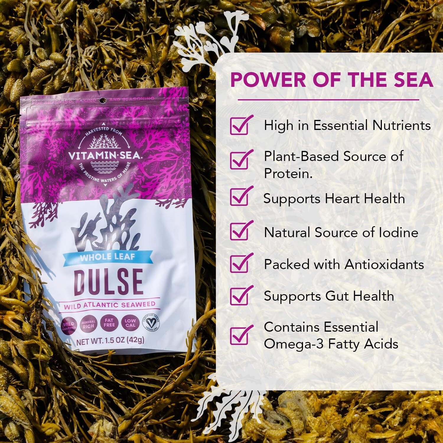 Vitaminsea Dulse Dried Seaweed | Wild North Atlantic Seaweed For Snacking, Seasoning, Soups & Salads | Rich In Vitamins, Minerals & Antioxidants Perfect For Thyroid Support | Whole Leaf (4 Oz)