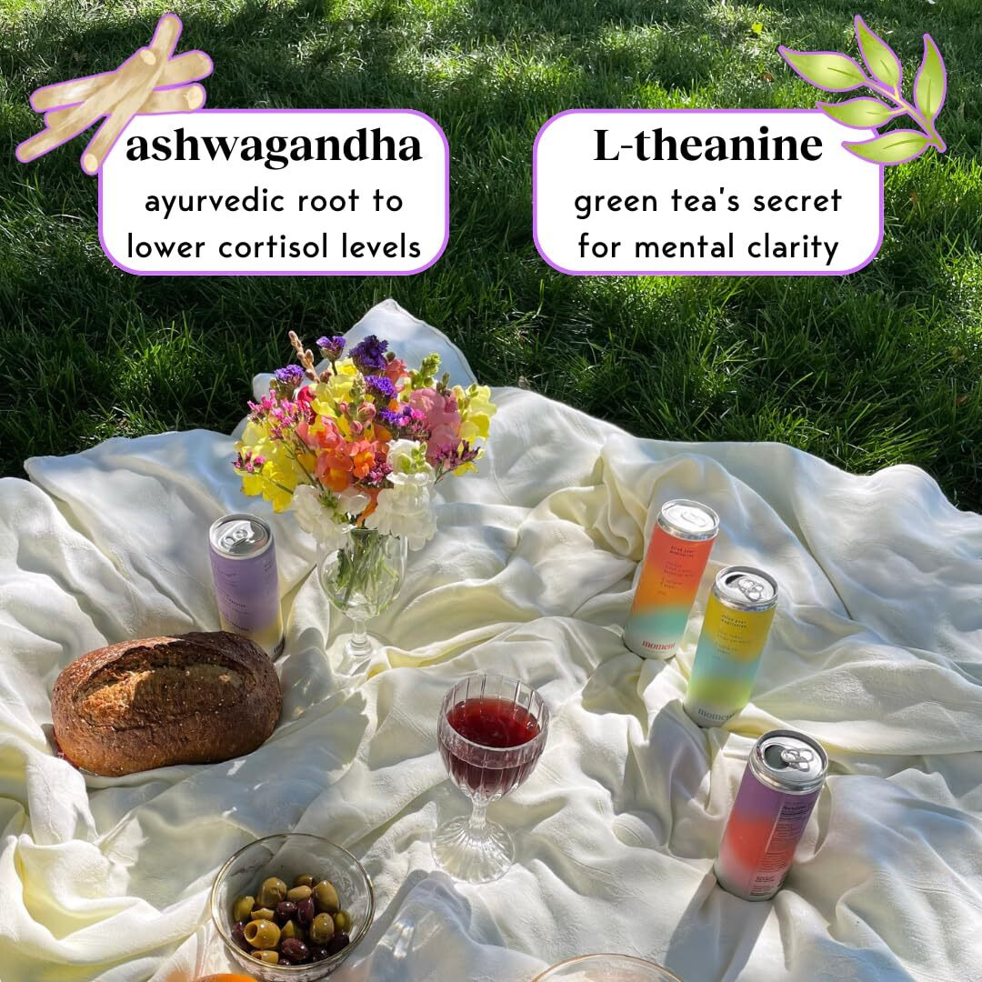 Moment Adaptogen Drink (Shark Tank) - Non-Carbonated Blueberry Ginger | L-Theanine & Ashwagandha For Calm & Clarity | 0 Added Sugar, 0 Caffeine, 0 Alcohol | 12-Pack