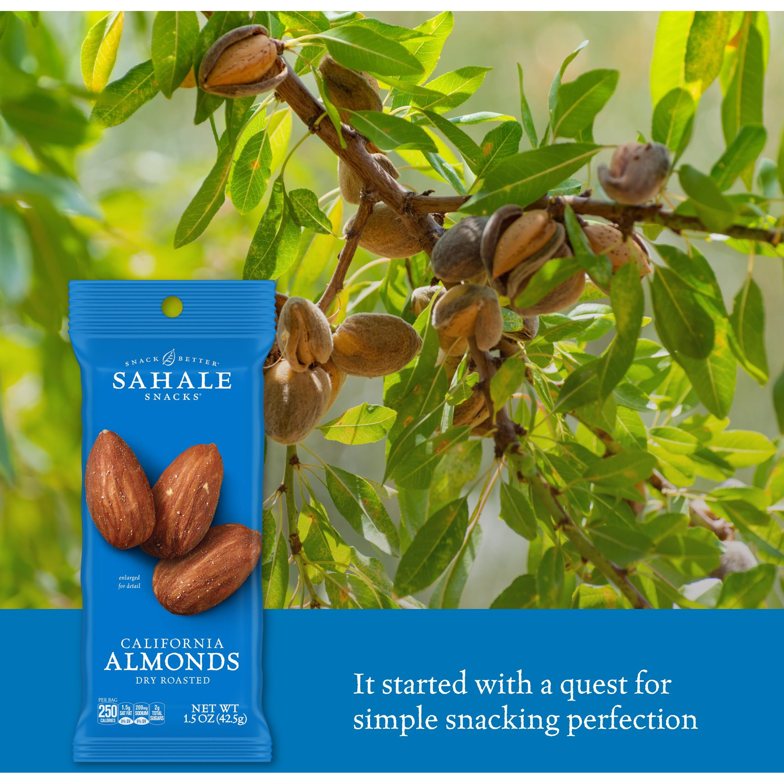 Sahale Snacks California Dry Roasted Almonds, 1.5 Oz Grab & Go Bags (18 Packs) - Dry-Roasted Almonds With A Touch Of Sea Salt - Non-Gmo, Kosher, & Certified Gluten-Free Snacks