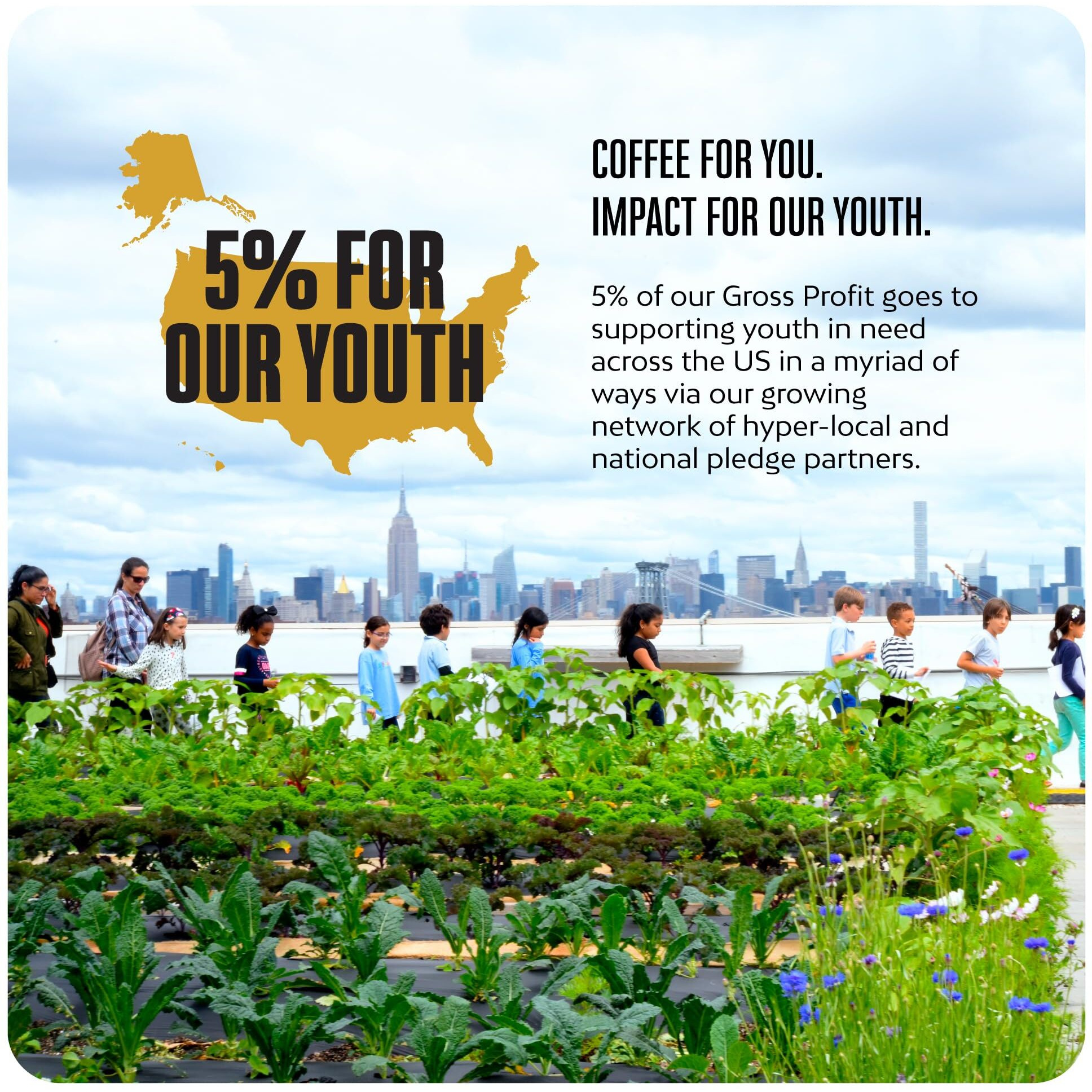 Blk & Bold Whole Bean Coffee, Rise & Grnd Premium Medium Roast, 100% Arabica Beans, 12 Oz Bag (2 Pack)