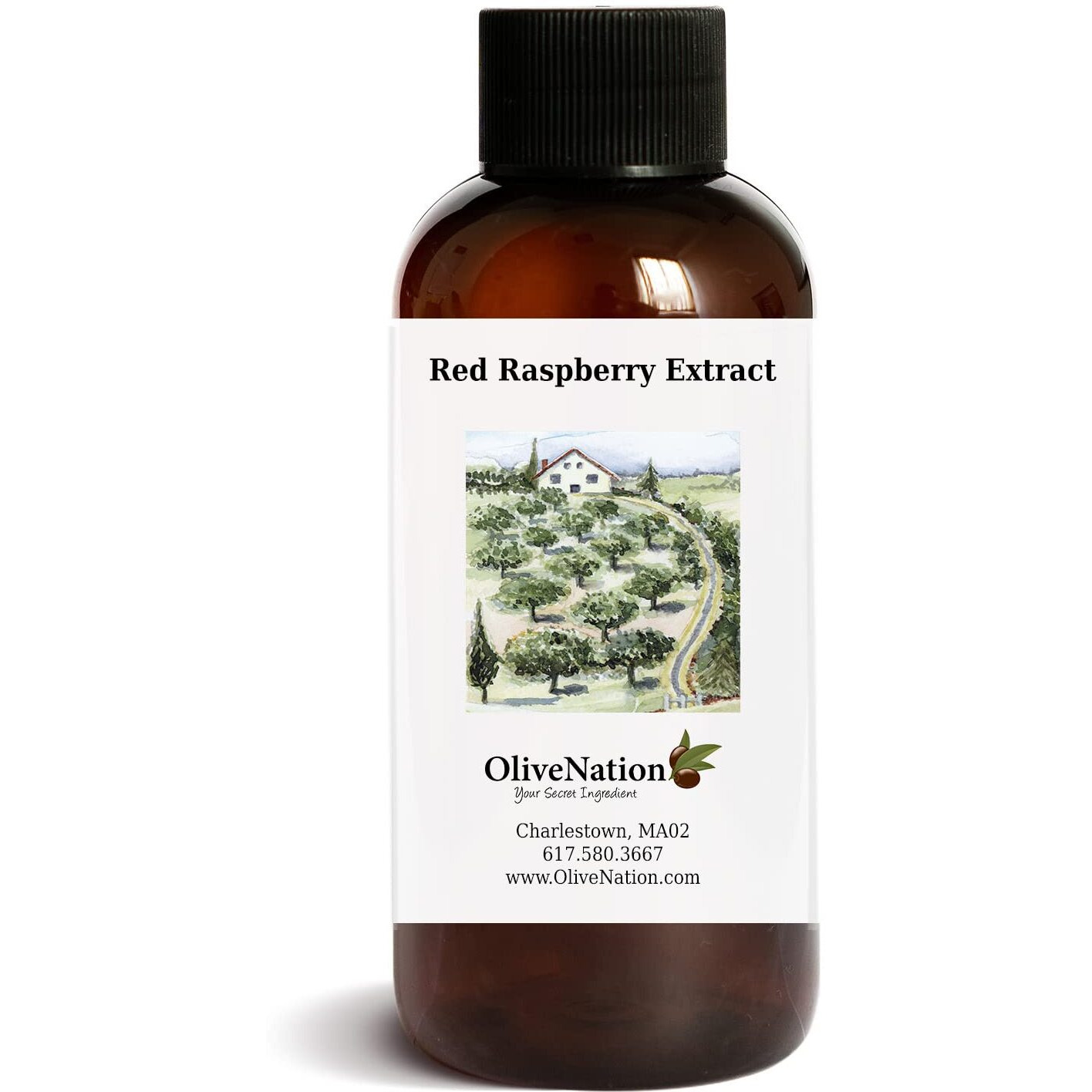 Olivenation Pure Red Raspberry Extract - 8 Ounces - Sugar-Free - Premium Quality Flavoring Extract For Baking