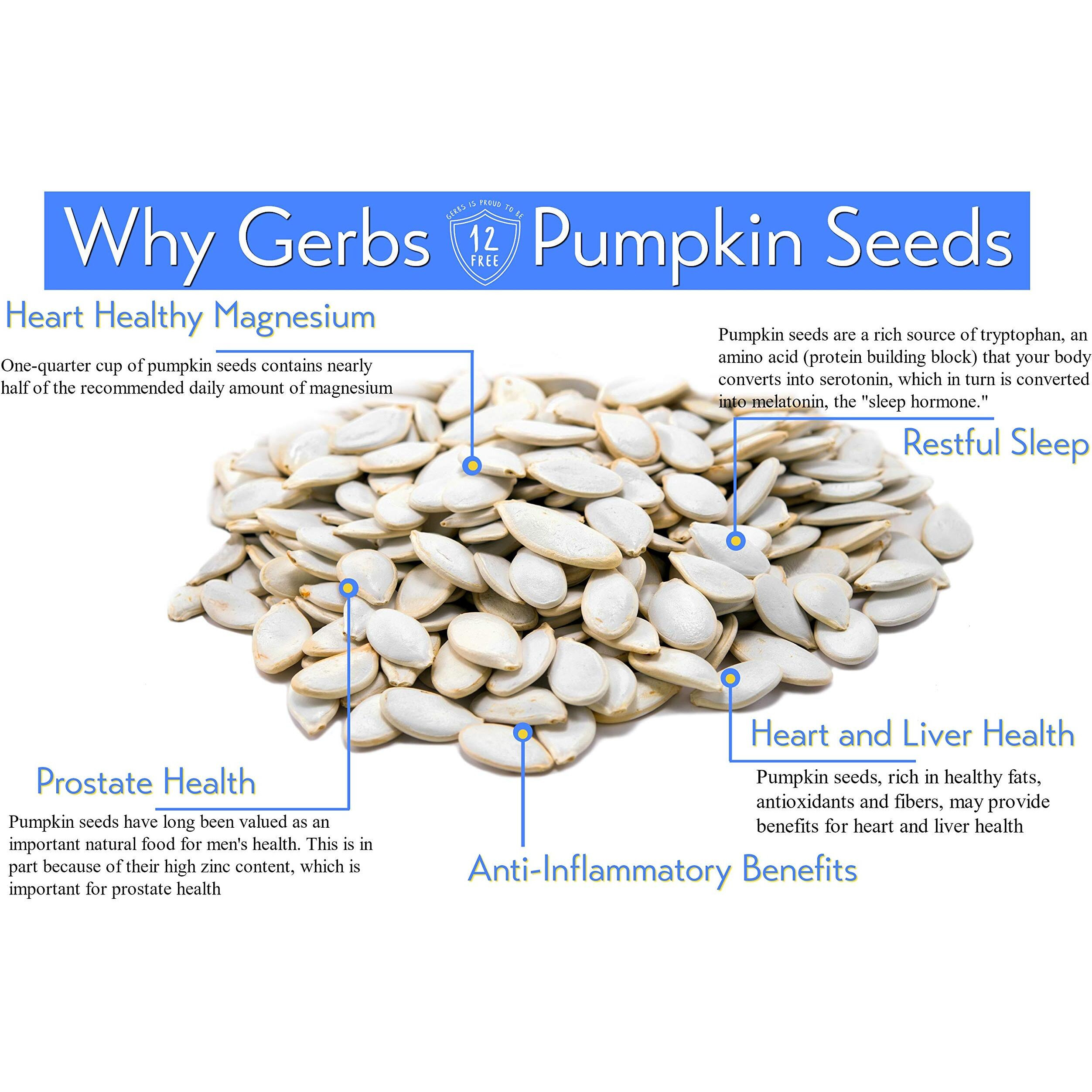 Jumbo Raw Pumpkin Seeds In Shell By Gerbs - 4 Lbs - Top 11 Food Allergen Free & Non Gmo - Vegan & Kosher - Premium Giant Size Whole Pepitas - Cog Usa