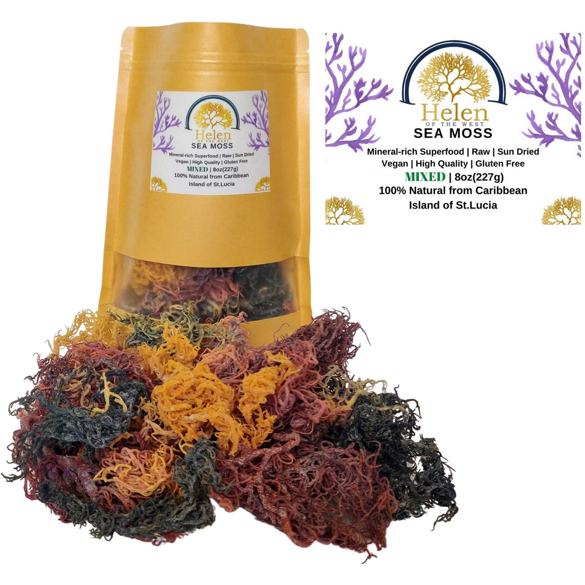 Wildcrafted Sea Moss | Gold - Purple - Green - Mixed | 100% Natural Irish Moss From St.Lucia | Mineral-Rich Superfood | 8Oz Sun-Dried Moss | No Preservatives No Chemicals