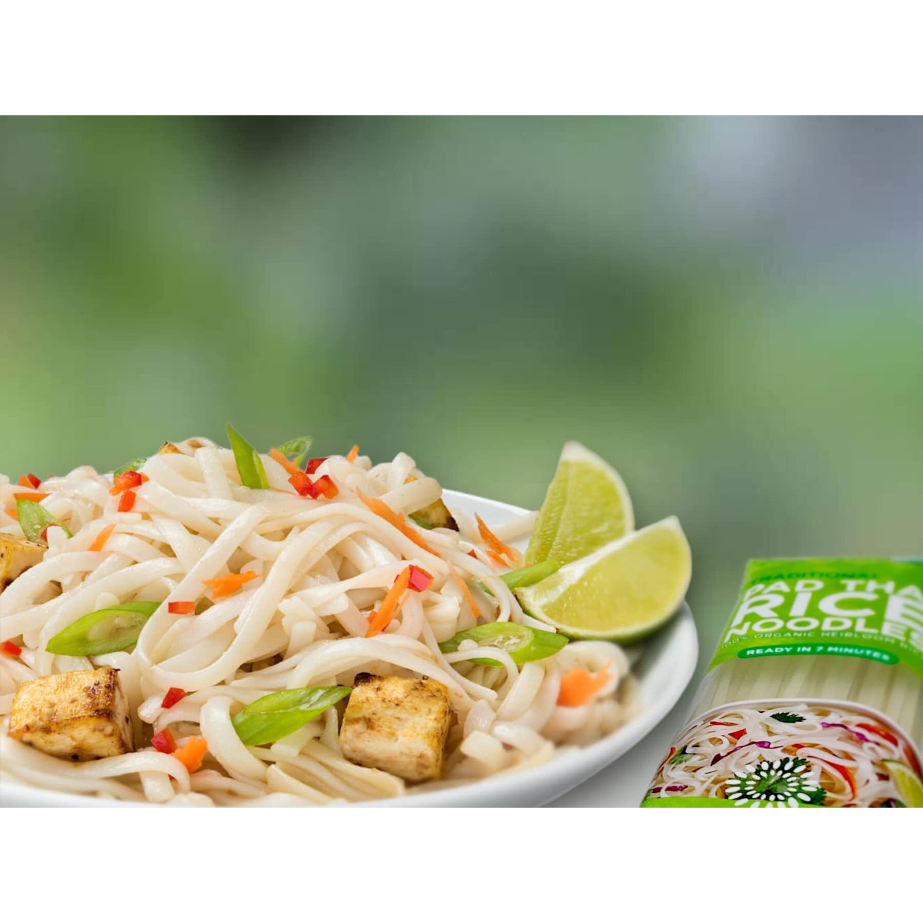 Lotus Foods Traditional Pad Thai Rice Noodles - Pad Thai Noodles, Asian Noodles, Gluten Free Noodles, Rice Noodles, Whole Grain, Non Gmo, Usda Organic - 8 Oz (Pack Of 3)
