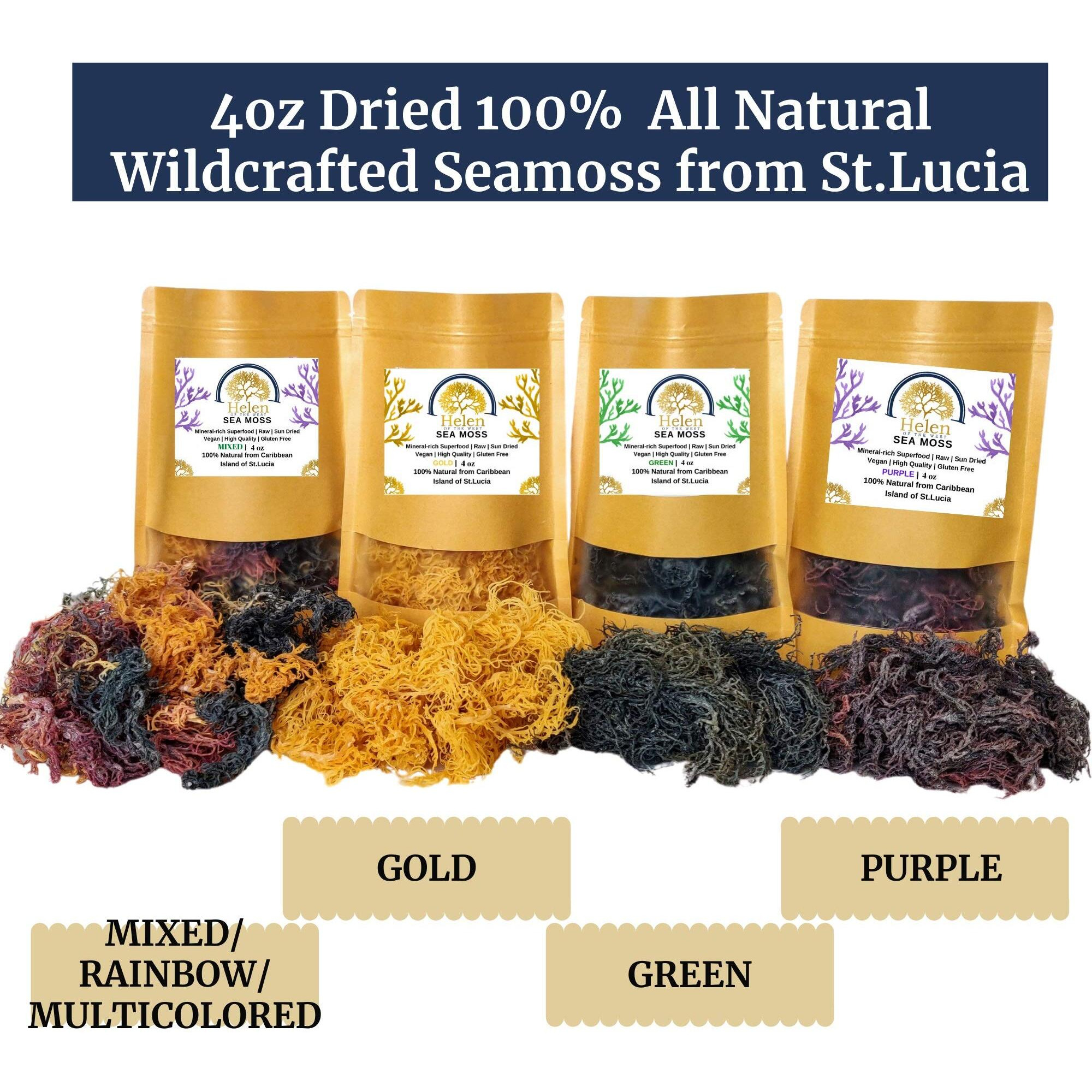 Wildcrafted Sea Moss | Gold - Purple - Green - Mixed | 100% Natural Irish Moss From St.Lucia | Mineral-Rich Superfood | 4Oz Sun-Dried Moss | No Preservatives No Chemicals | Premium Quality