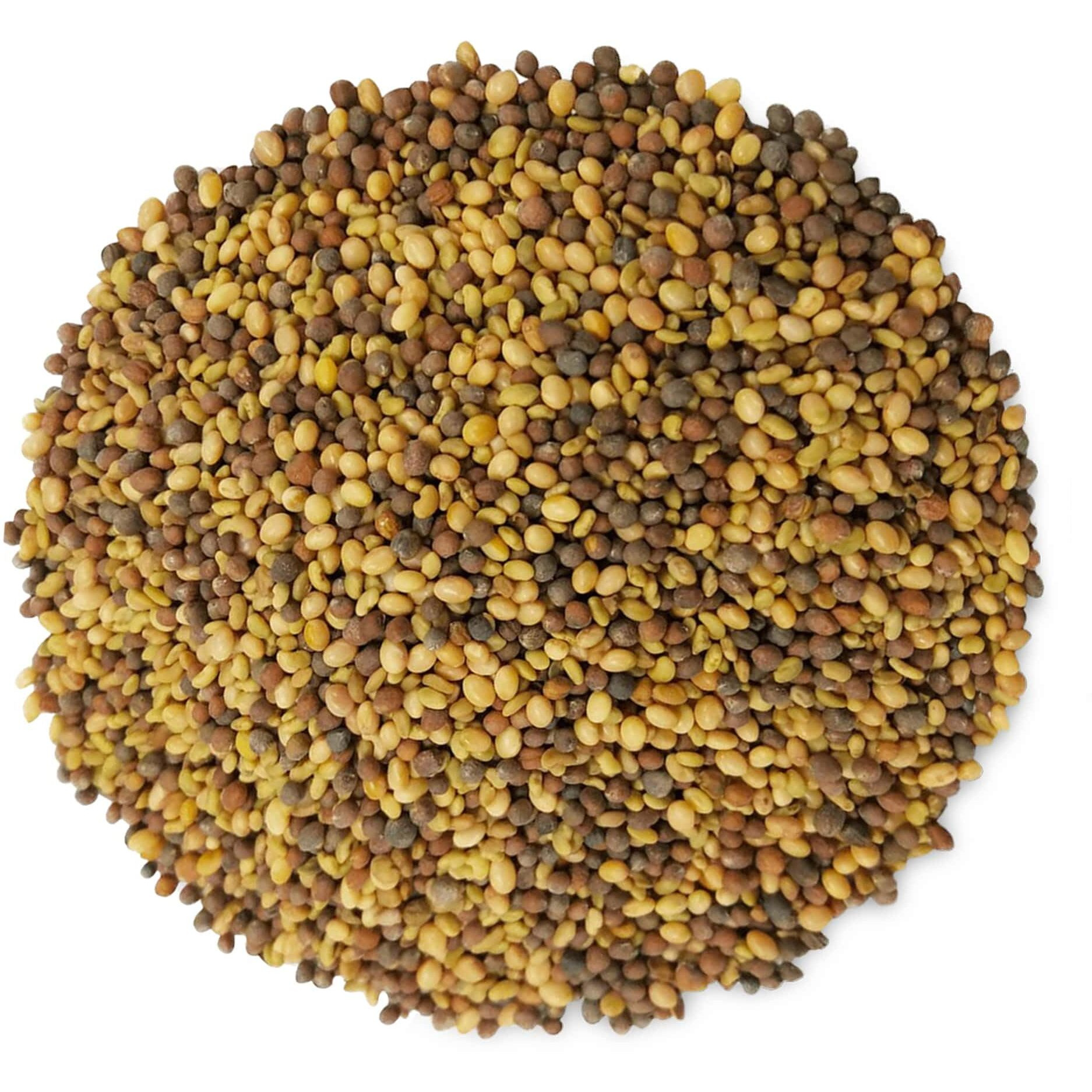 Food To Live - Antioxidant Mix Of Sprouting Seeds, 8 Ounces - Broccoli, Clover, Alfalfa, Kosher, Raw, Vegan