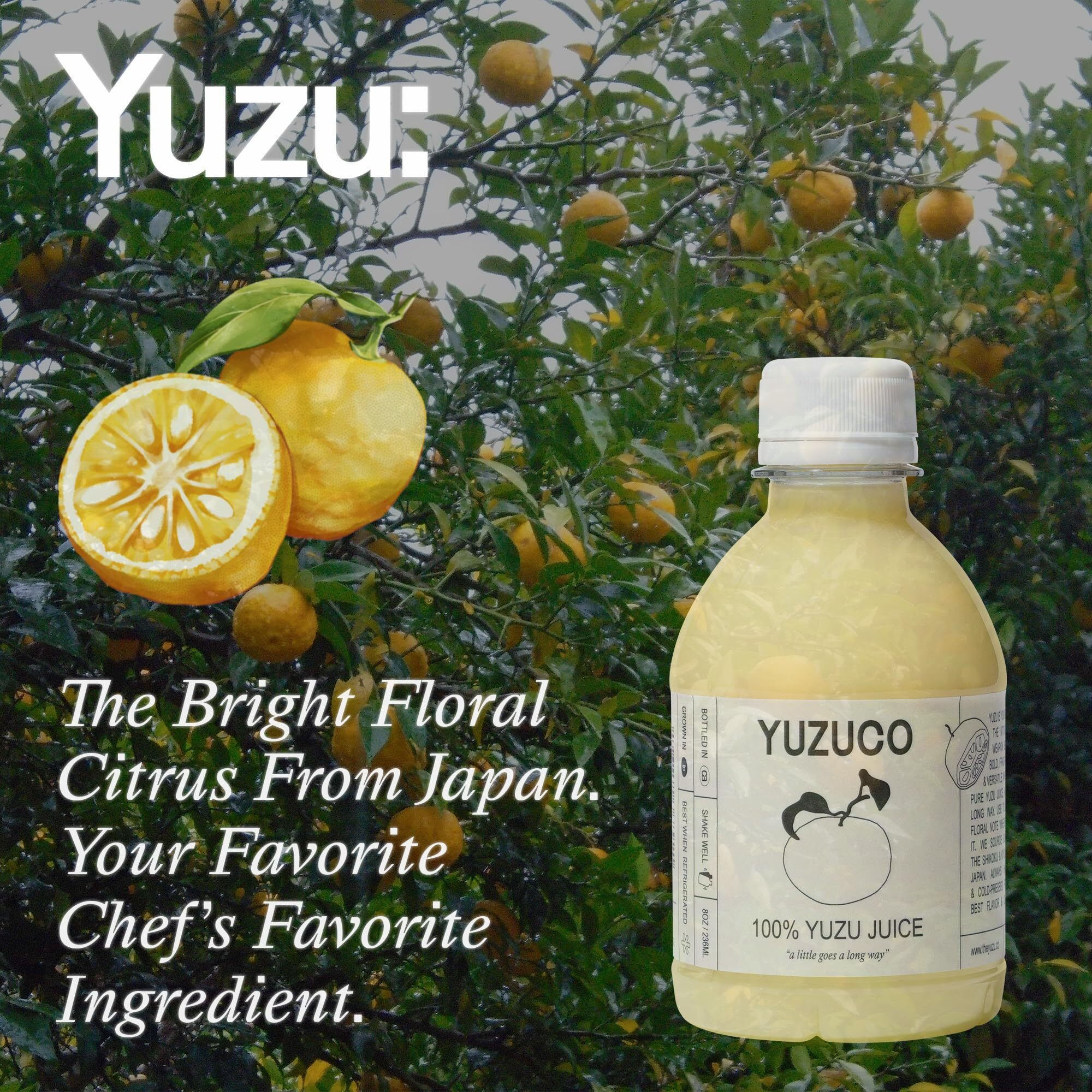 Yuzuco - 100% Cold-Pressed Juice - 8Oz Premium Yuzu Juice From Japan - Bottled In California