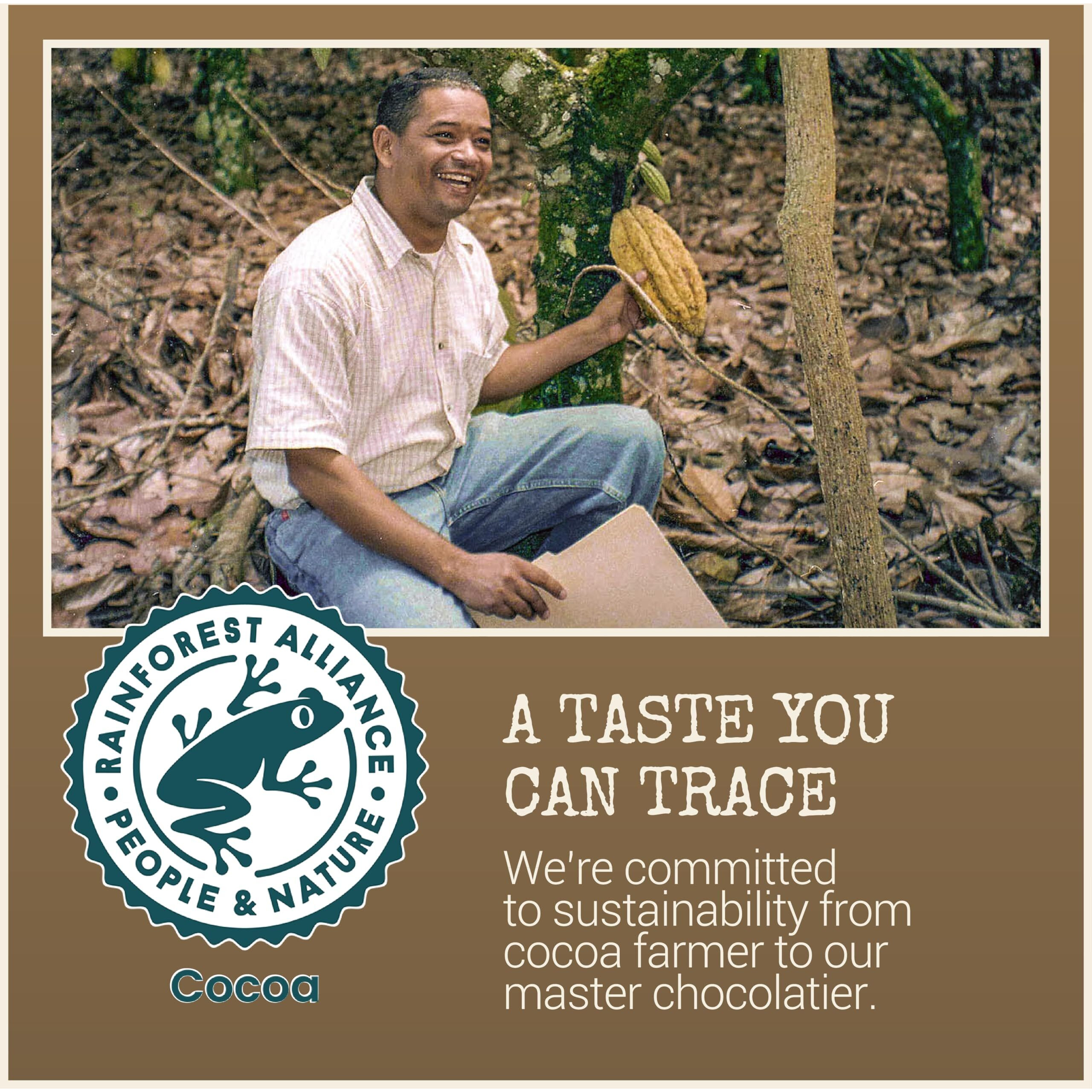 Chocolove Extra Strong Dark Chocolate Bars | 77% Cocoa | Strong & Smooth Belgian Dark Chocolate | Rainforest Alliance Certified, Non-Gmo, 3.2 Oz Bar (12 Pack)