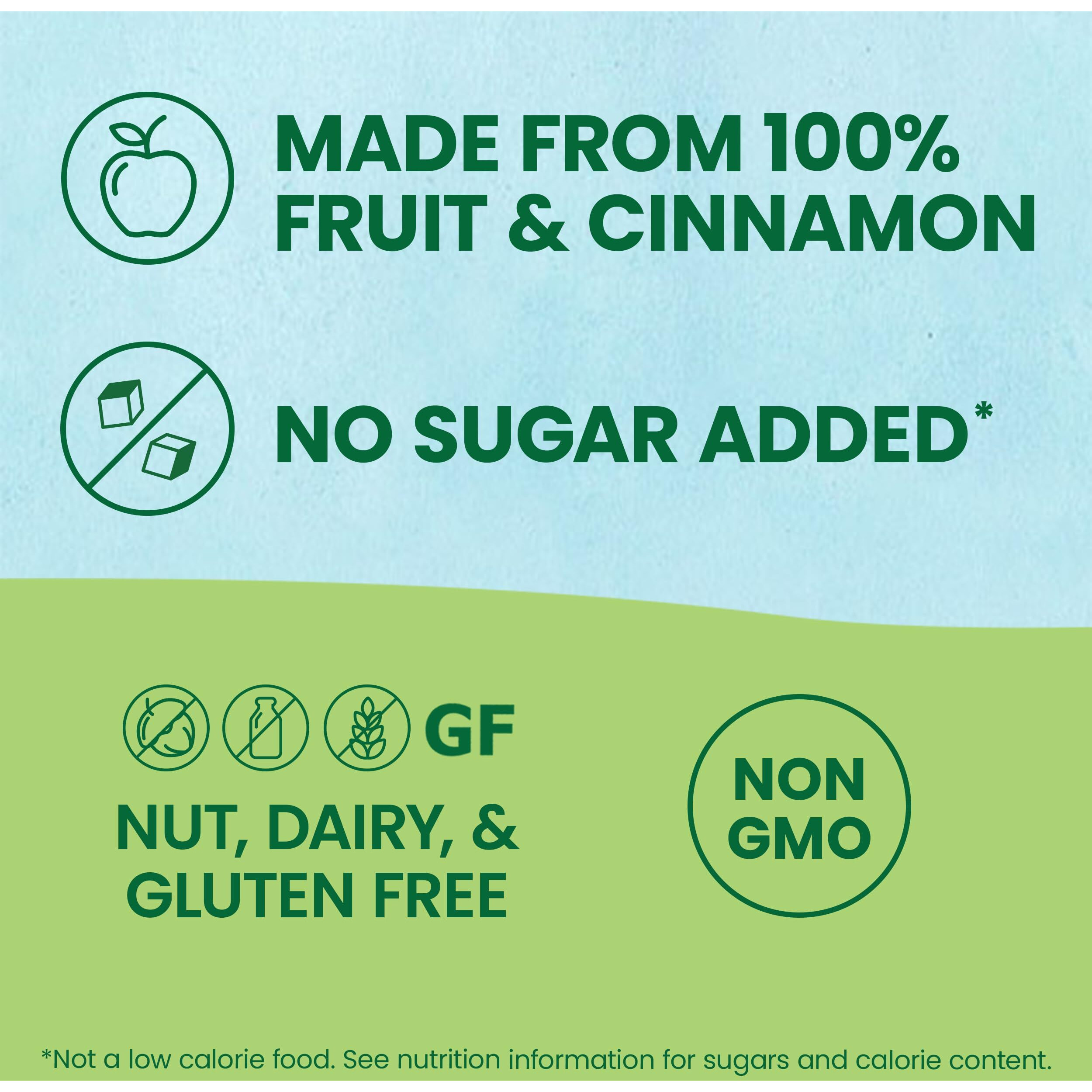 Gogo Squeez Fruit On The Go, Apple Cinnamon, 3.2 Oz (Pack Of 18), Unsweetened Fruit Snacks For Kids, Gluten Free, Nut Free And Dairy Free, Recloseable Cap, Bpa Free Pouches