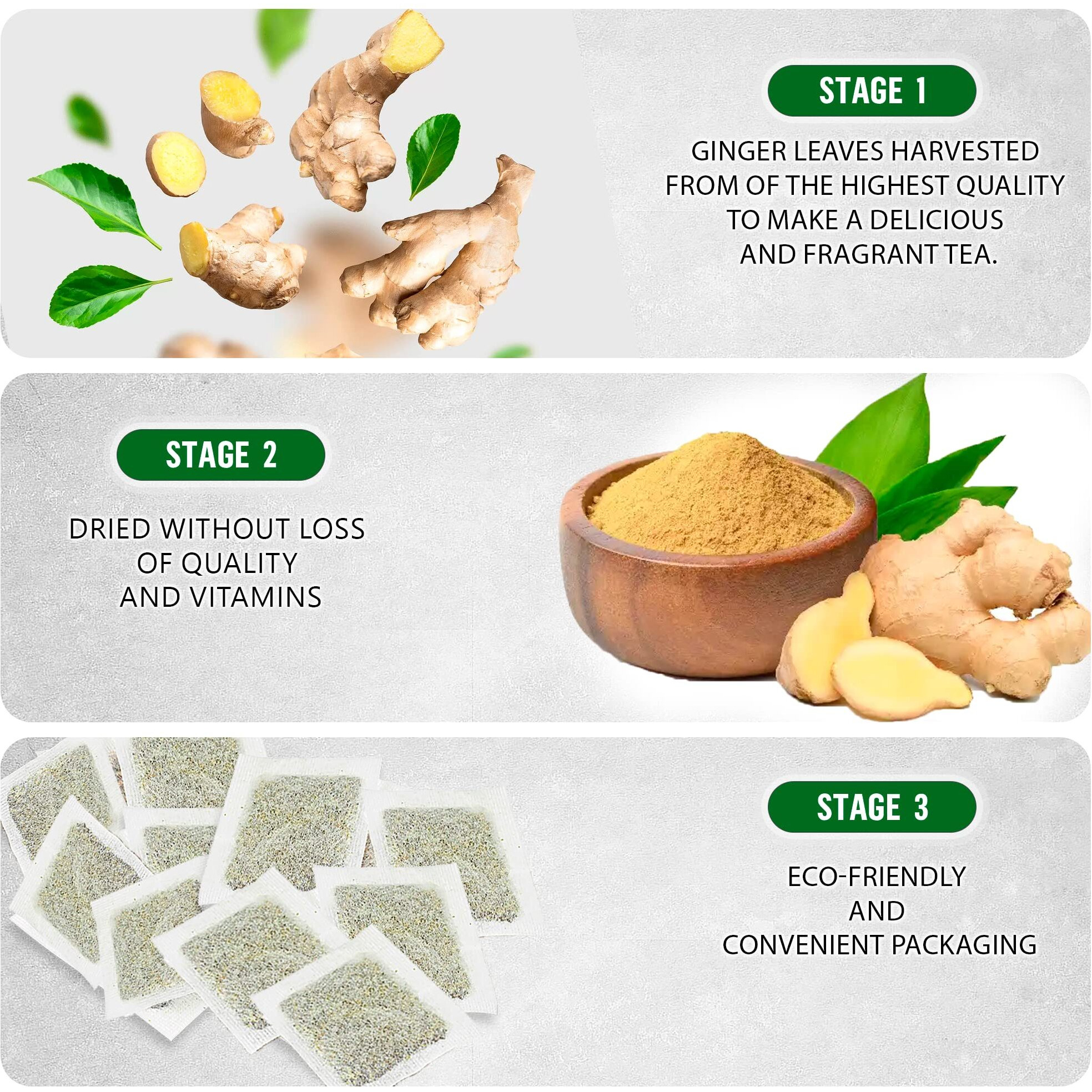Teadreamtea Ginger Tea Bags - 100 Bleach-Free Tea Bags | Caffeine Free, Antioxidant, Calms Upset Stomach - Strengthen Immune System - Herbal Ginger Tea