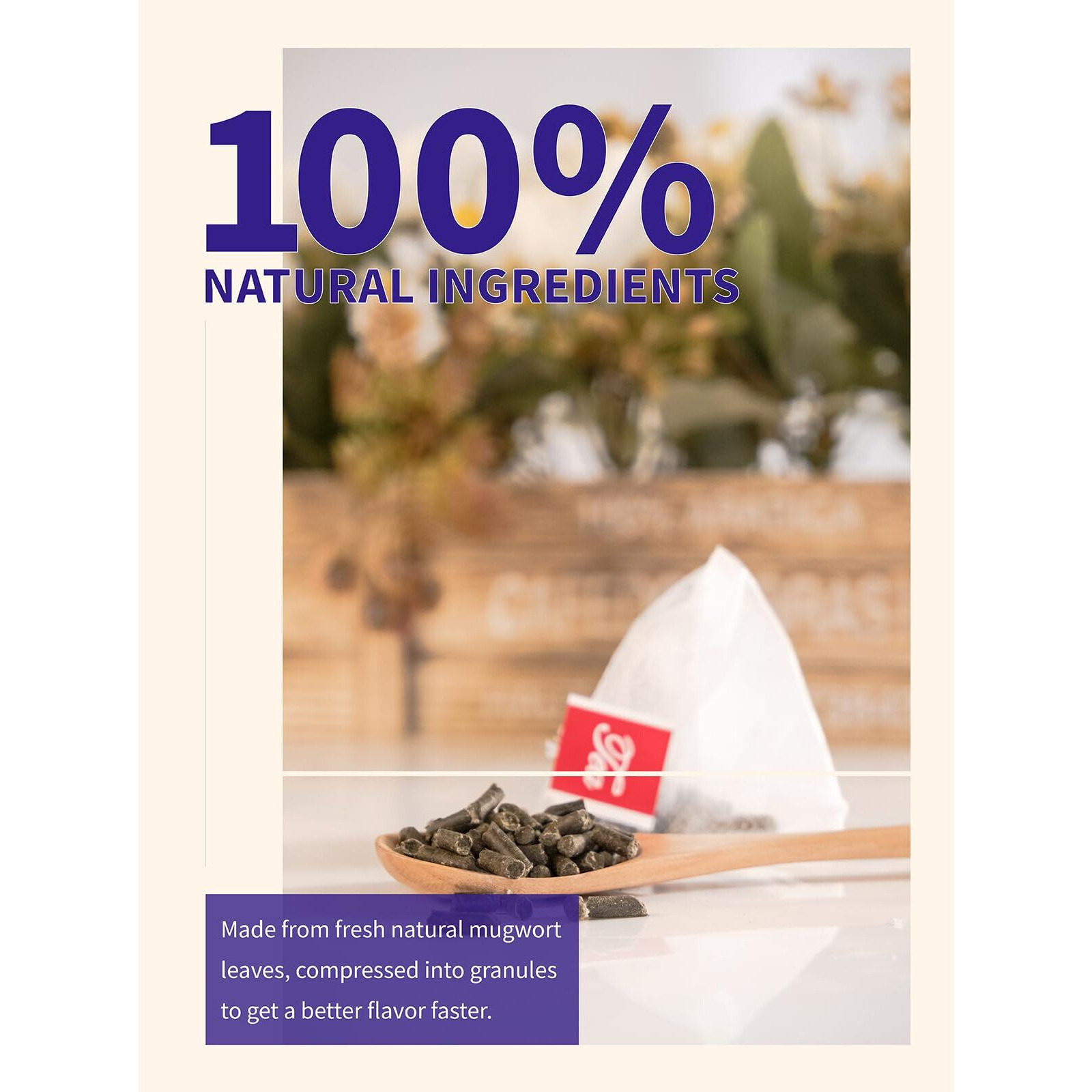 Teelux Mugwort Tea Bags, Natural Mugwort Leaves, Caffeine Free, Dried Mugwort Herb Tea, 40 Tea Bags