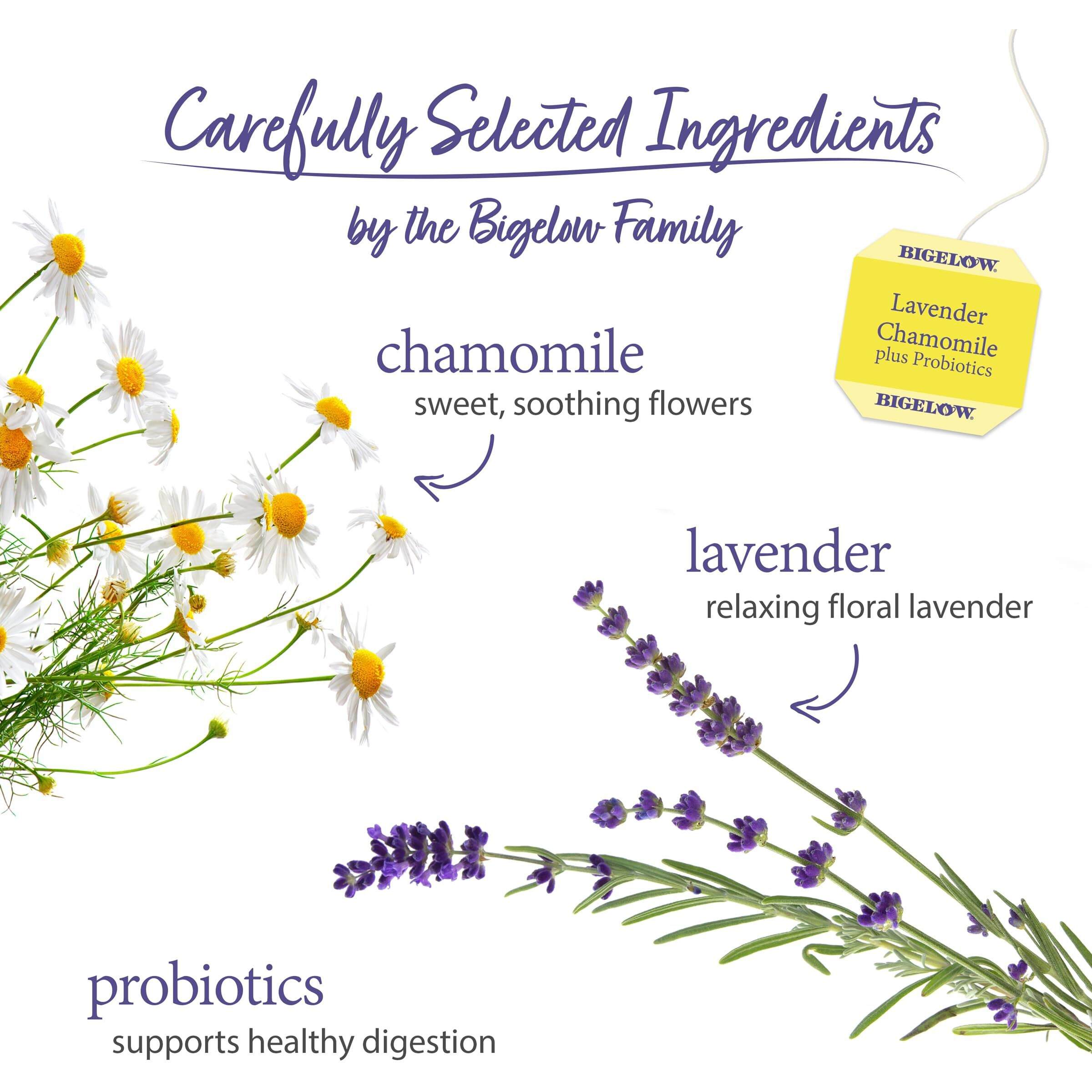 Bigelow Herbal Tea Bags Lavender Chamomile Plus Probiotic
