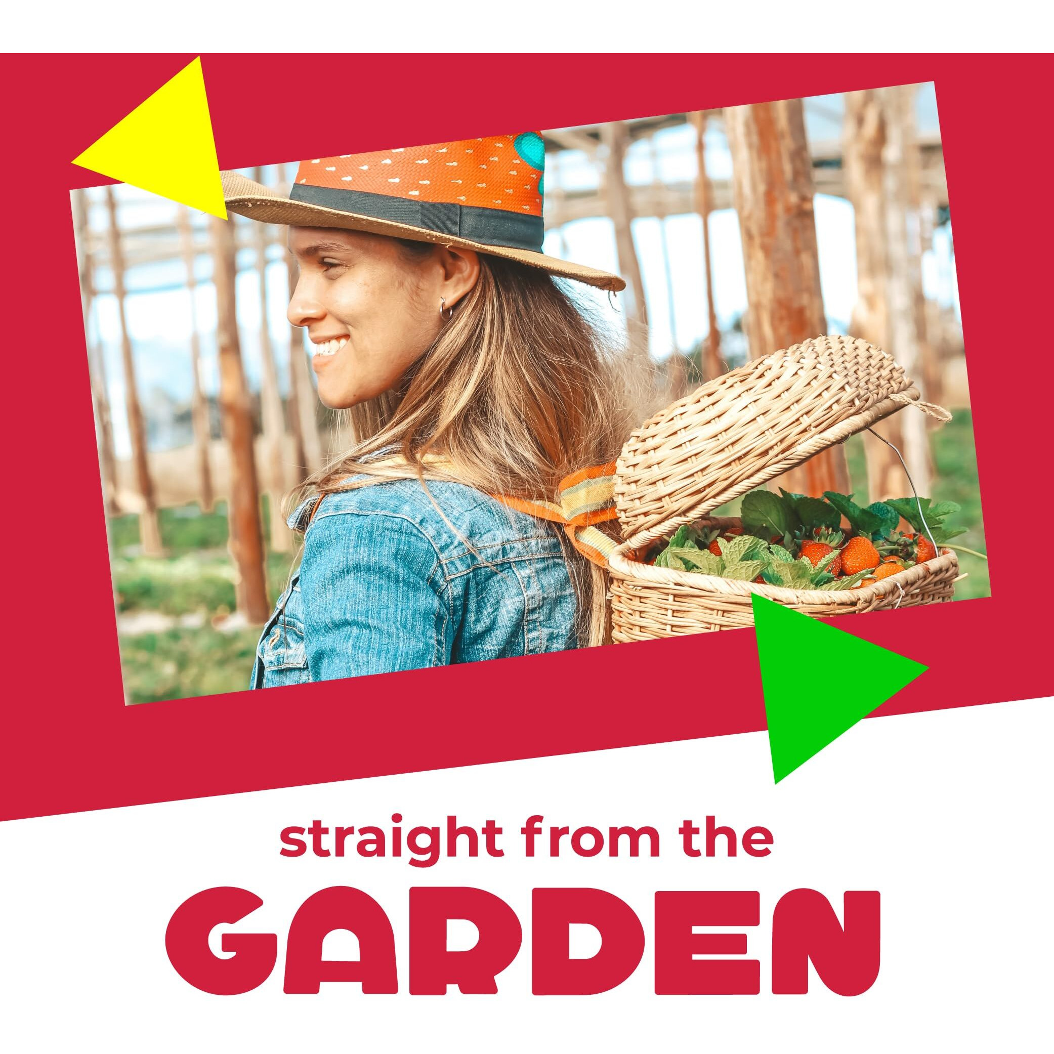 Strawberry Filled Bon Bons Hard Candy, Individually Wrapped (1 Pound Bag)