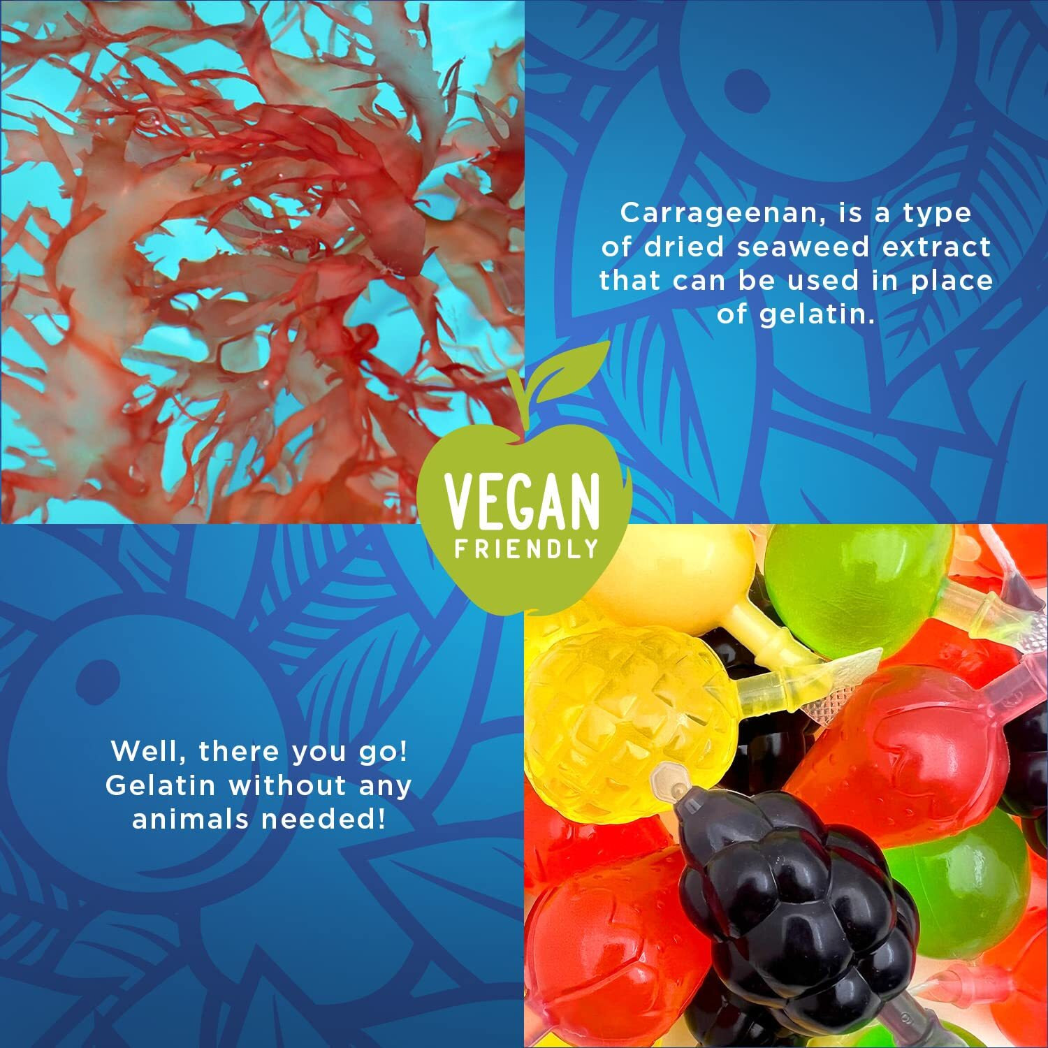 Funtasty Squeezable Fruit Jellies Candy, Assorted Flavors, 25 Count Bag