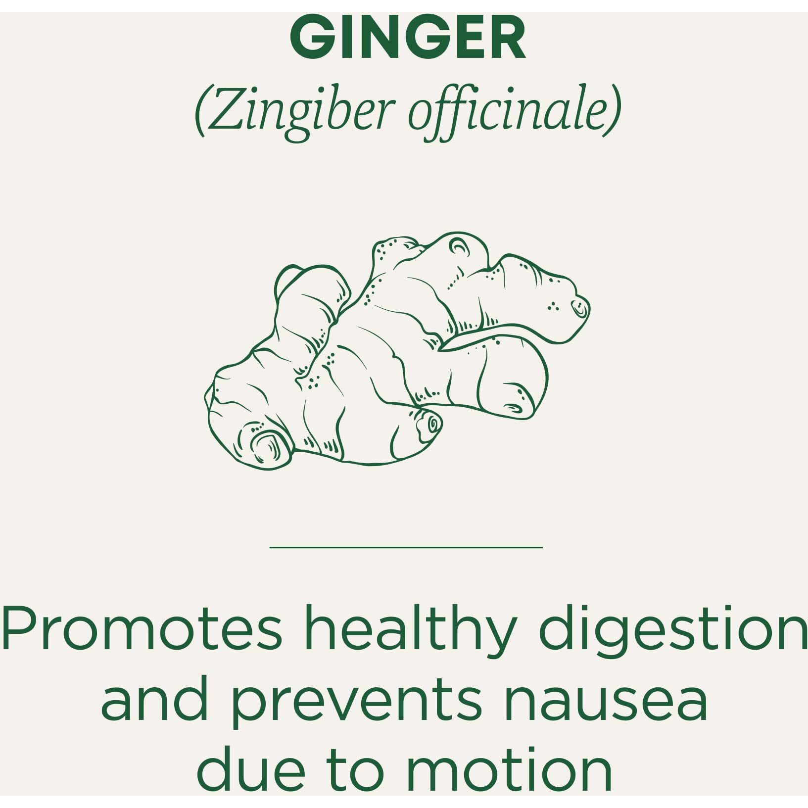Traditional Medicinals Tea Ginger Organic 16 Bg