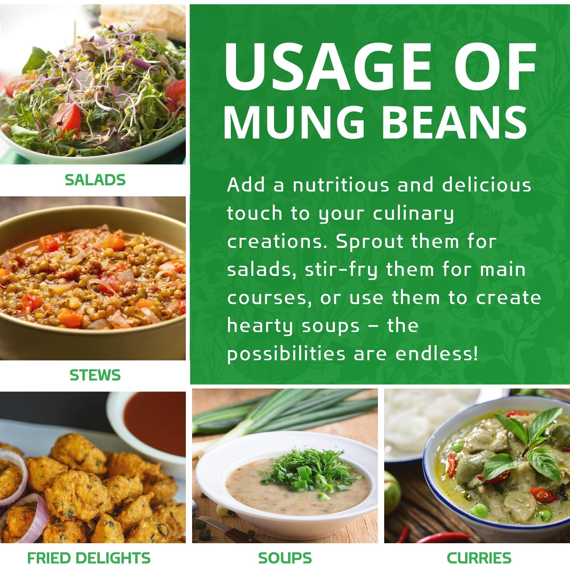 Jiva Organic Mung Bean - Mung Moong Beens Whole For Sprouting And Cooking - 2 Lb Bean Bag - Indian Spices
