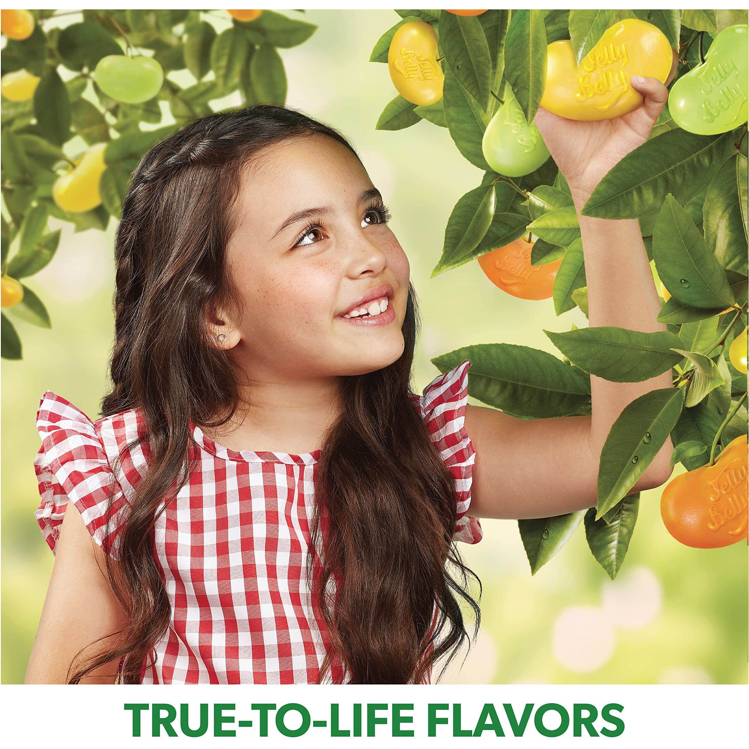 Jelly Belly Berry Blue Jelly Beans - 1 Pound (16 Ounces) Resealable Bag - Genuine, Official, Straight From The Source