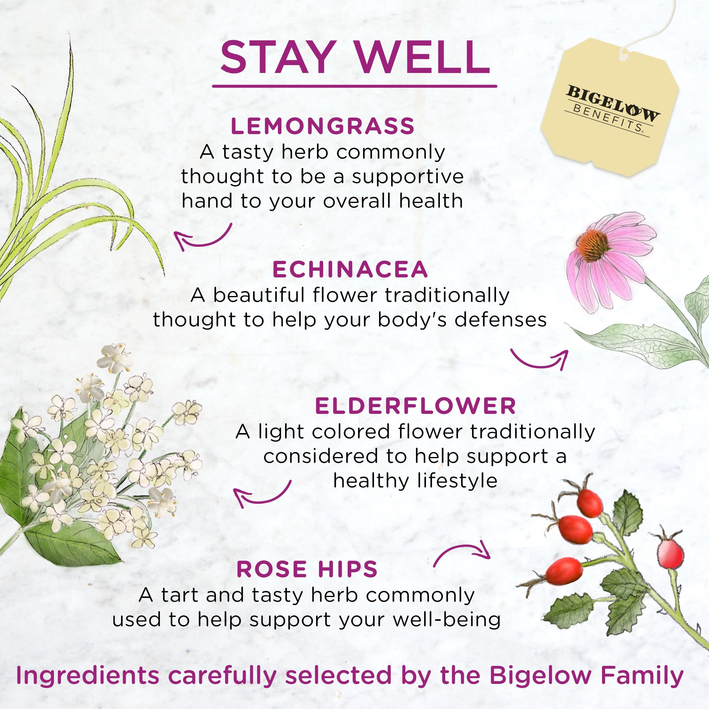 Bigelow Benefits Stay Well Lemon And Echinacea Herbal Tea, Caffeine Free, 18 Count (Pack Of 6), 108 Total Tea Bags