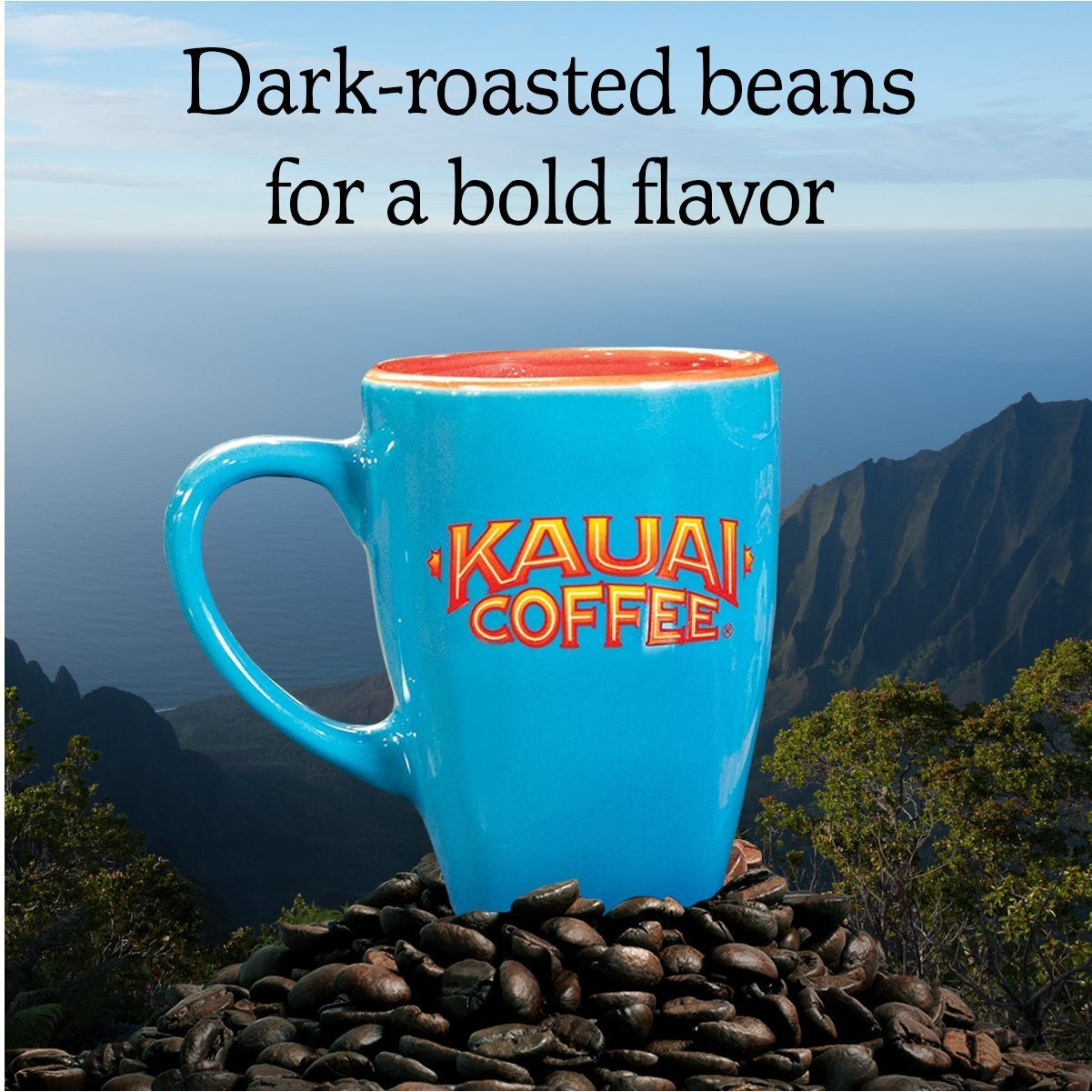 Kauai Coffee Koloa Estate Dark Roast - Ground Coffee, 24 Oz Package