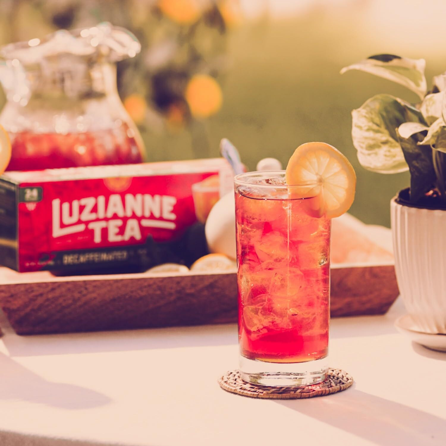 Luzianne Decaffeinated Iced Tea Bags, Family Size, 24Ct Box (Pack Of 6)