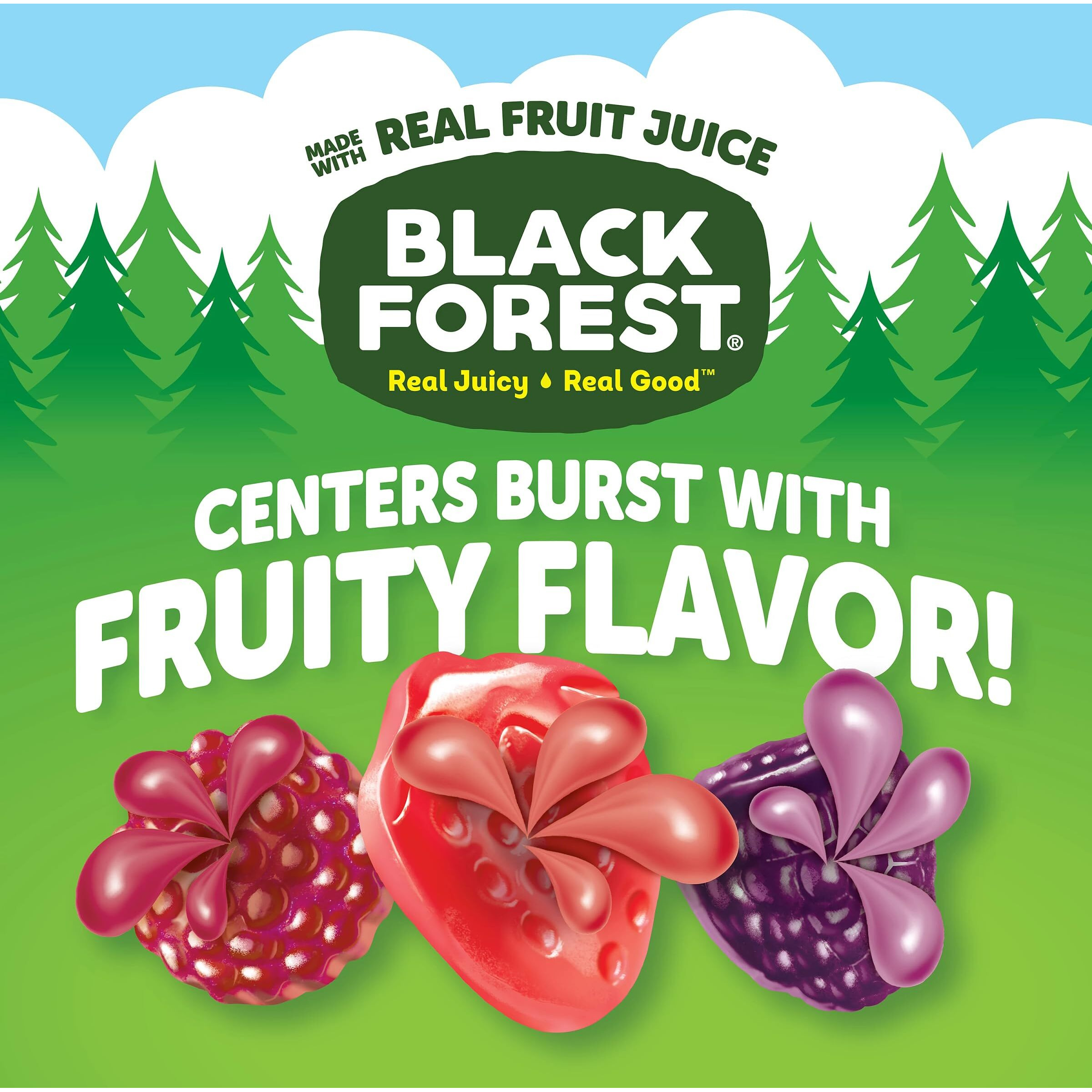 Black Forest, Juicy Burst, Fruit Flavored Snacks, Berry Medley Flavors, A Juicy Burst Of Natural Flavors, Made With Real Fruit Juice, Halloween Treats Variety Pack Trick-Or-Treat Assortment, 0.8 Oz 40 Ct