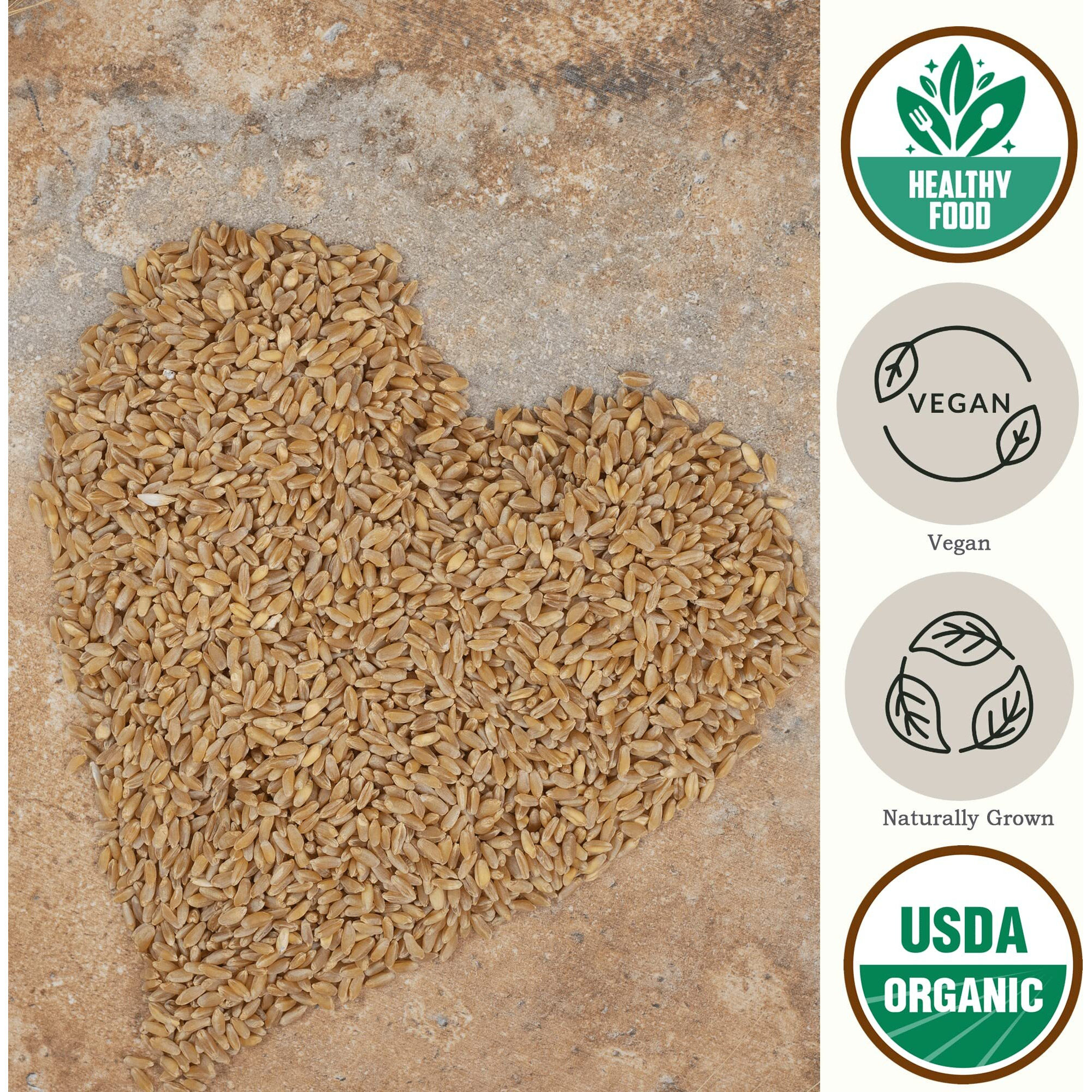 Be Still Farms Einkorn Farro Grain Organic (4.8 Lb) - Einkorn Wheat Berries Bulk Whole Ancient Grains - Ideal For Soup, Flour, Bread - High In Fiber | Usa Grown | Usda Certified | Vegan | Non-Gmo