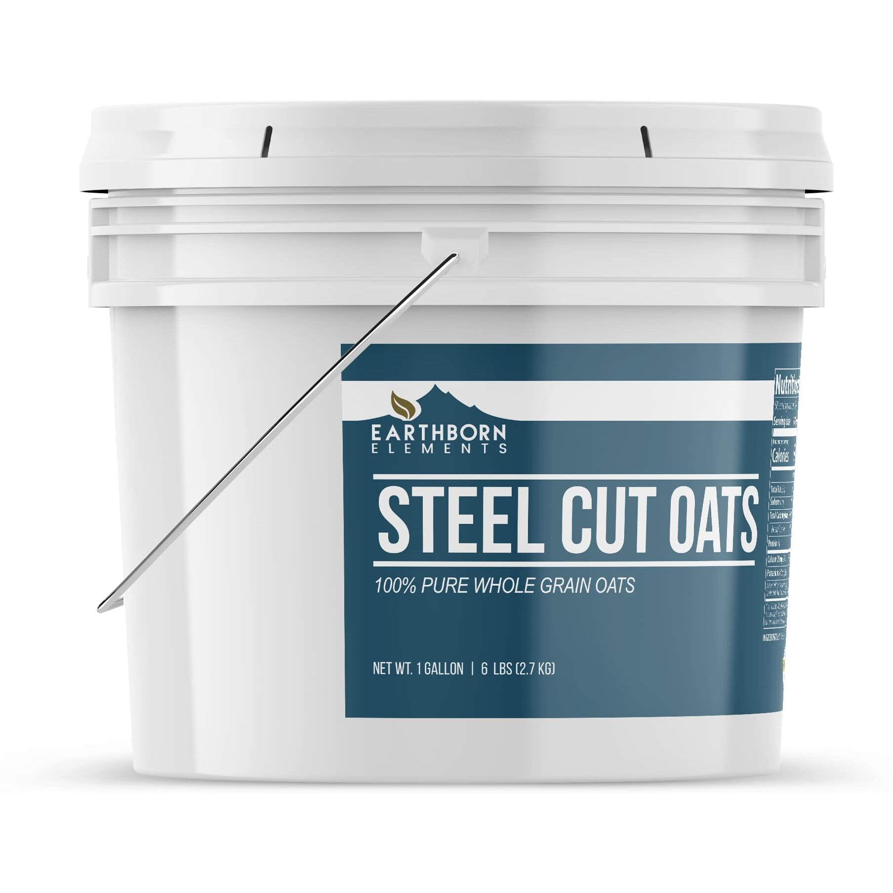Earthborn Elements Steel Cut Oats (1 Gallon), Also Called Irish Oatmeal, Breakfast, Resealable Bucket