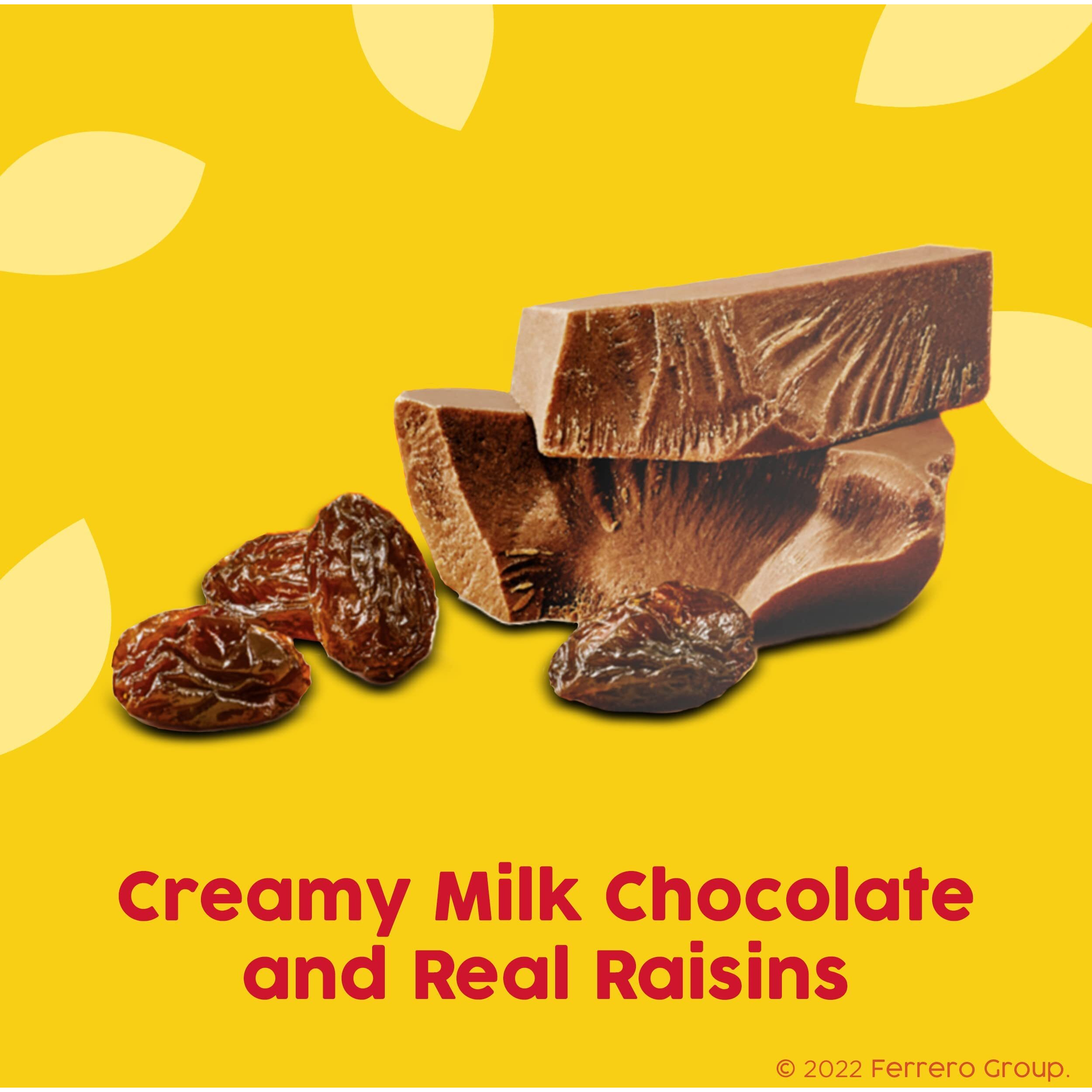 Raisinets, Milk Chocolate Covered California Raisins, Movie Theater Candy Box, 3.1 Oz Each, Bulk 15 Pack