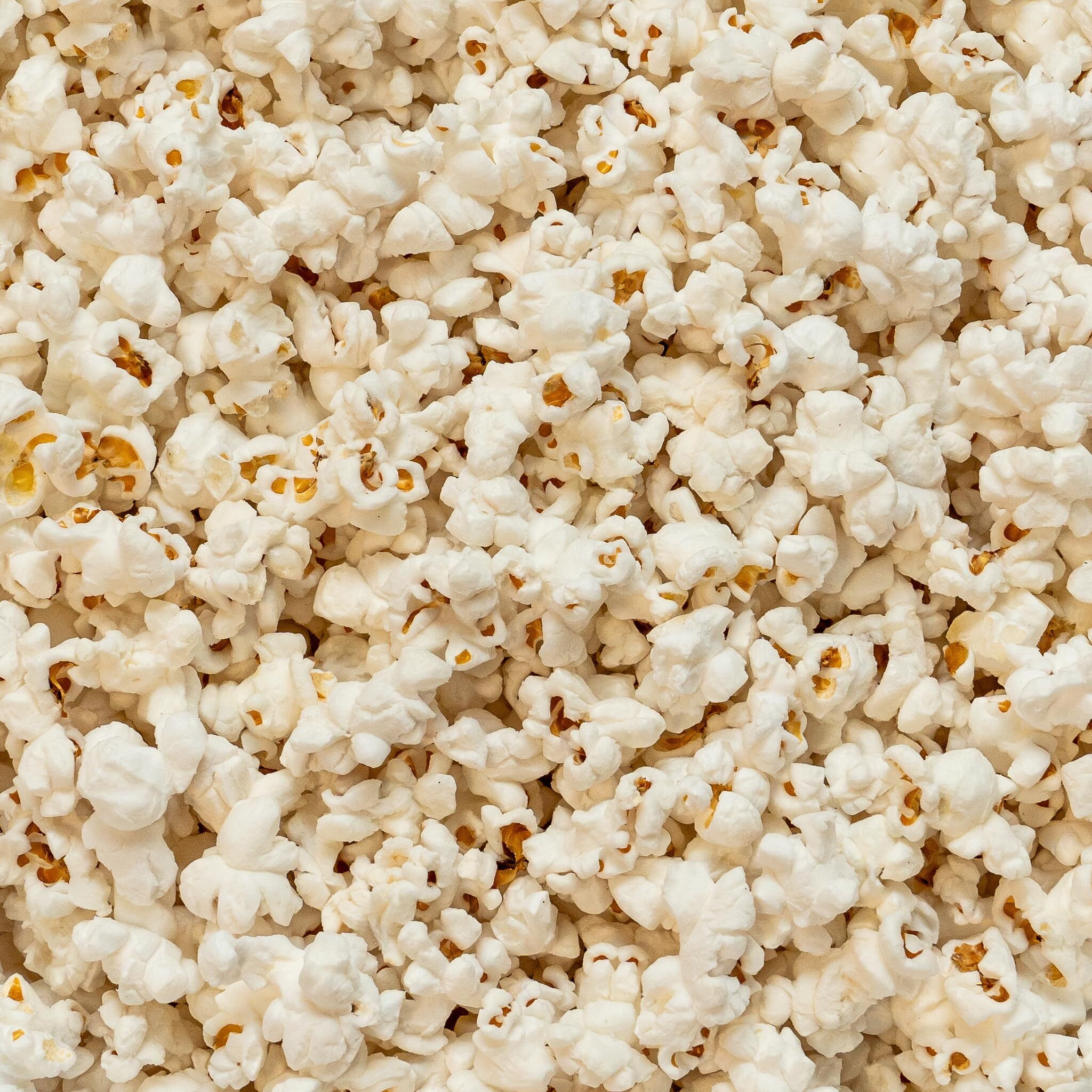 Colby Ridge Fluffy White Gourmet Craft Popped Gluten Free Popcorn Bulk Sized Large Gift Bash Bags (Bulk 18 Gal. 288 Cups.) (Fluffy White)