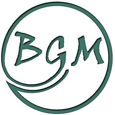 18 Pack Bgm Diet Ginger Soda (Pack Of 18)