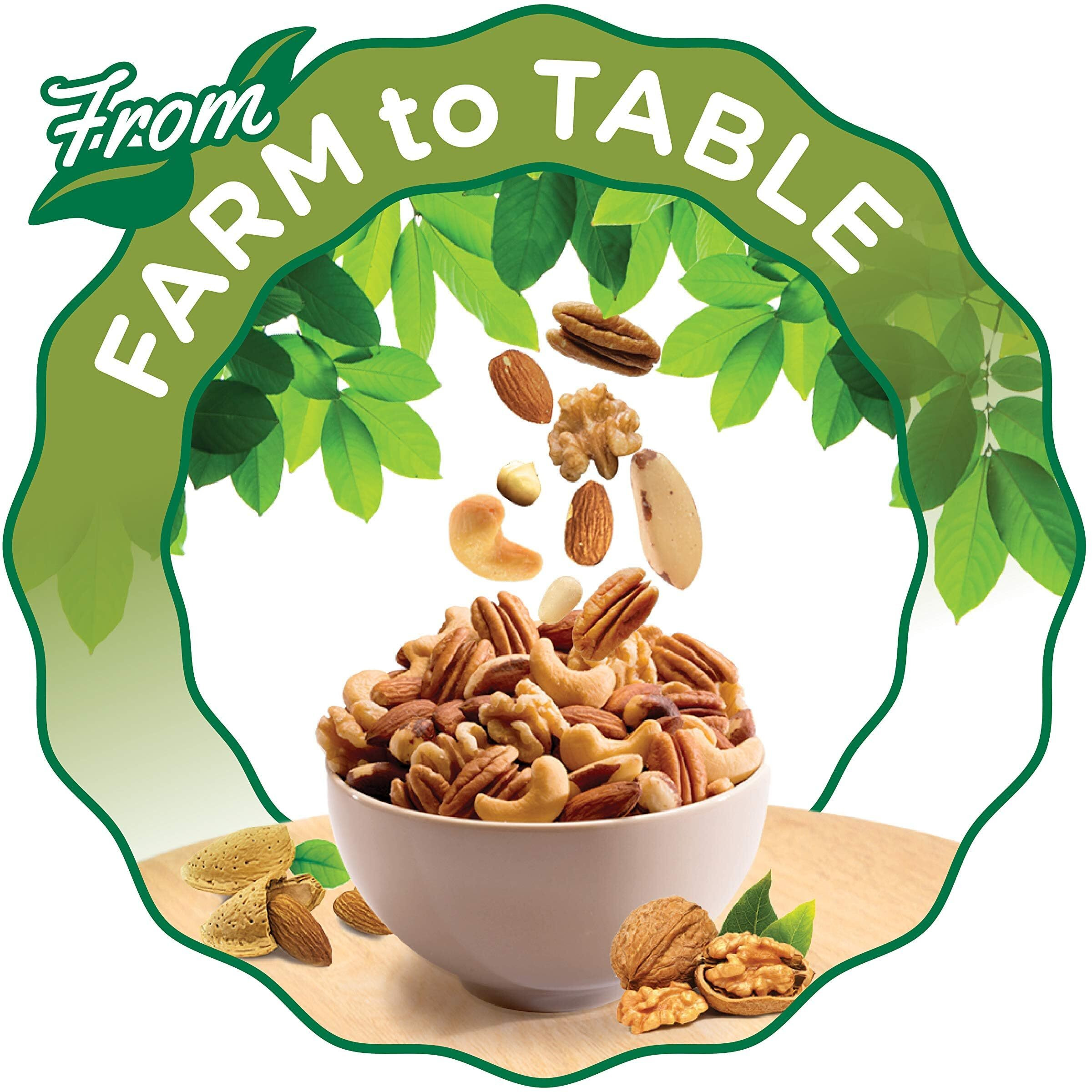 Fisher Snack Mixed Nuts With Peanuts, 24 Oz Almonds, Cashews, Filberts, Pecans, Brazil Nuts,