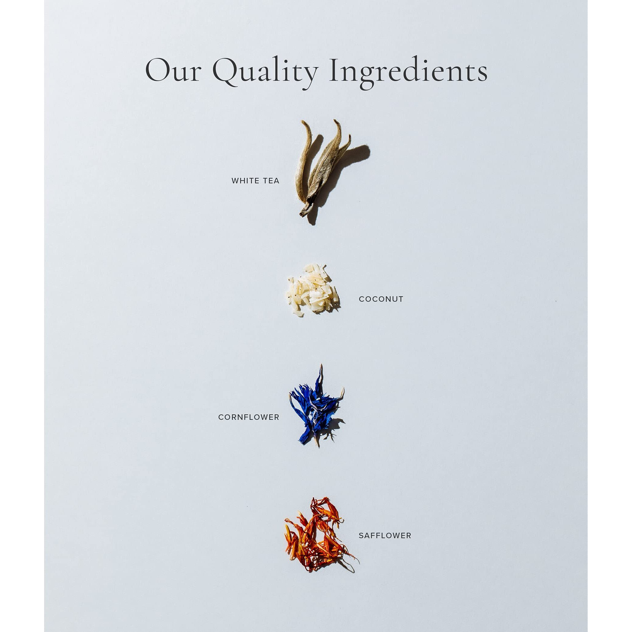 Art Of Tea | Organic White Coconut Crme | 12 Count Eco Friendly Sampler Box Assortment | Premium Caffeinated Organic White Tea Variety | Biodegradable Sachets