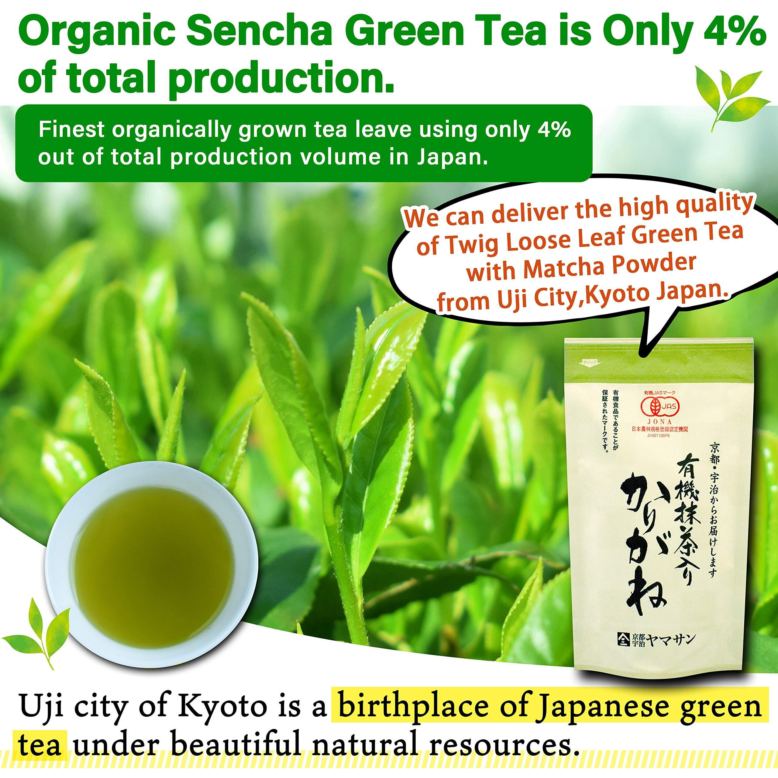 Organic Green Tea, Kukicha Twing Tea With Matcha Green Tea Powder, Japanese Tea -Karigane- 100G BagYamasan
