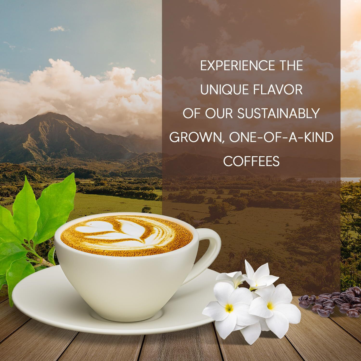 Caf  S Granell - Kopi Luwak + Panama Geisha Coffee | Exotic Collection Coffee | Fresh Whole Gourmet Beans | Quality Controlled | 100% Arabica Coffee-Premium Medium Roast | 3.53Oz