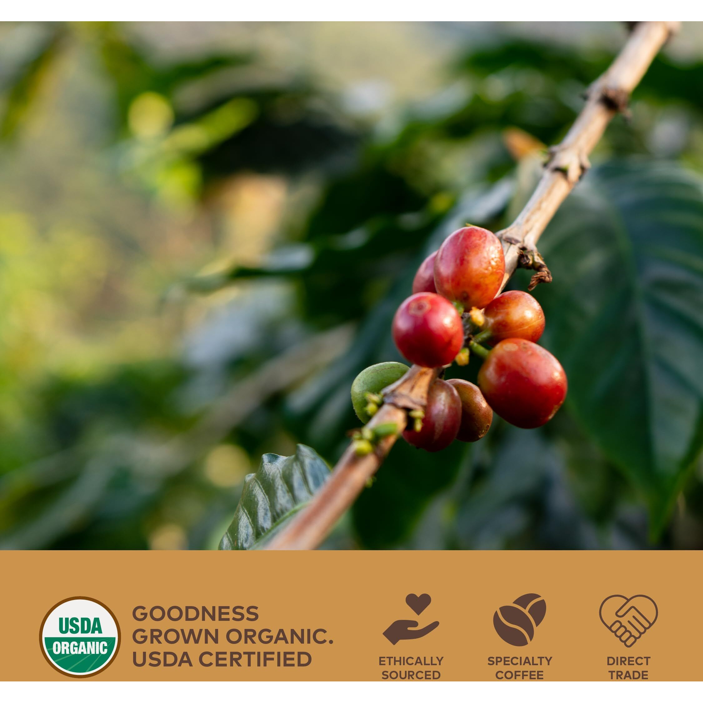 Grana Nespresso Compatible Coffee Pods, 40 Pack, Usda Organic 100% Arabica Single Source Specialty Coffee, Compostable & Biodegradable Single Serve Coffee Capsules, San Marcos And Las Barrancas