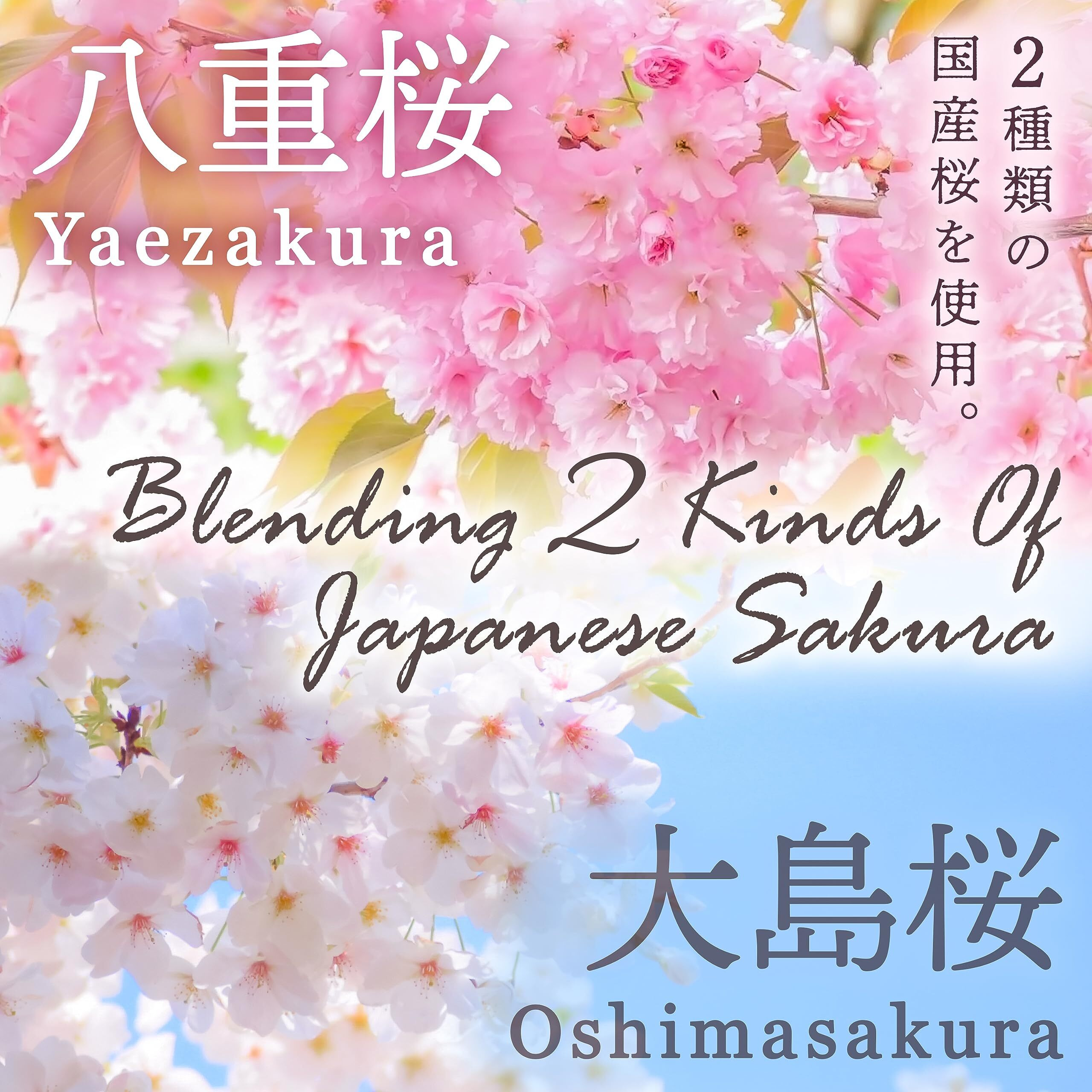 Sakura Latte -Creamy And Aromatic Foam- Using Japanese Cherry Blossom 100%, 3.5Oz, Made In Japan,Sold By Japanese Company Yamasan