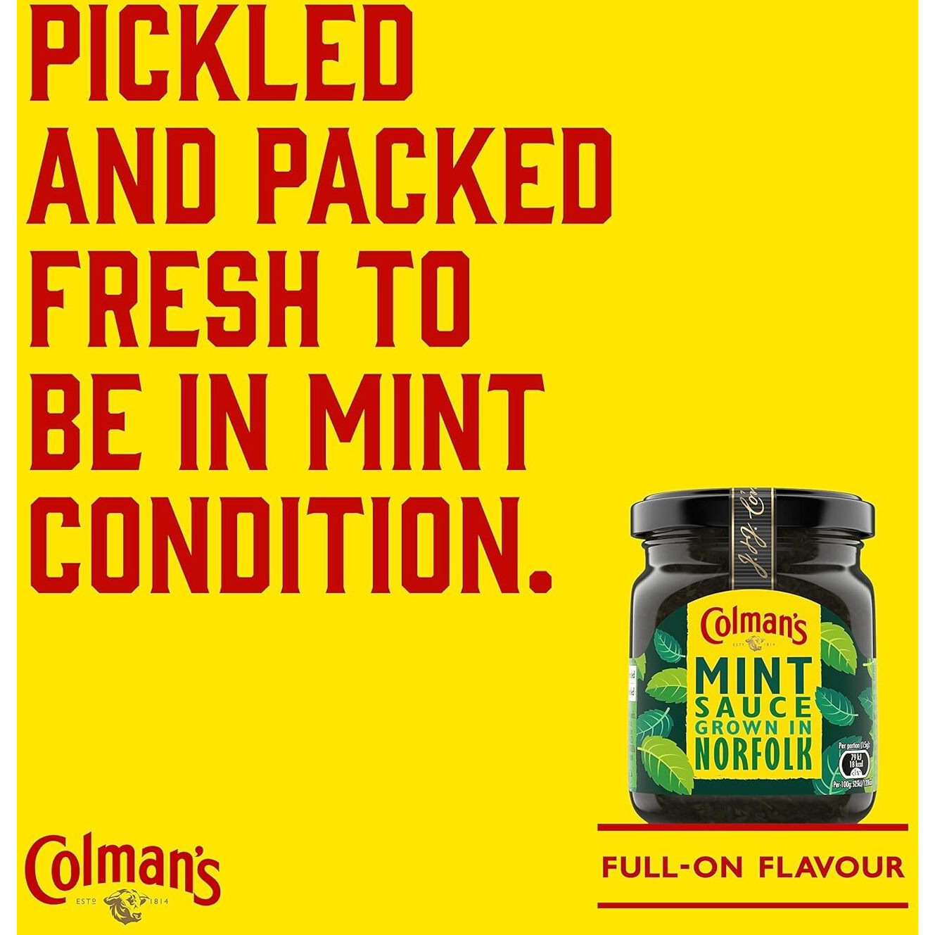 Colmans Classic Mint Sauce 165 Grams (Pack Of 1)