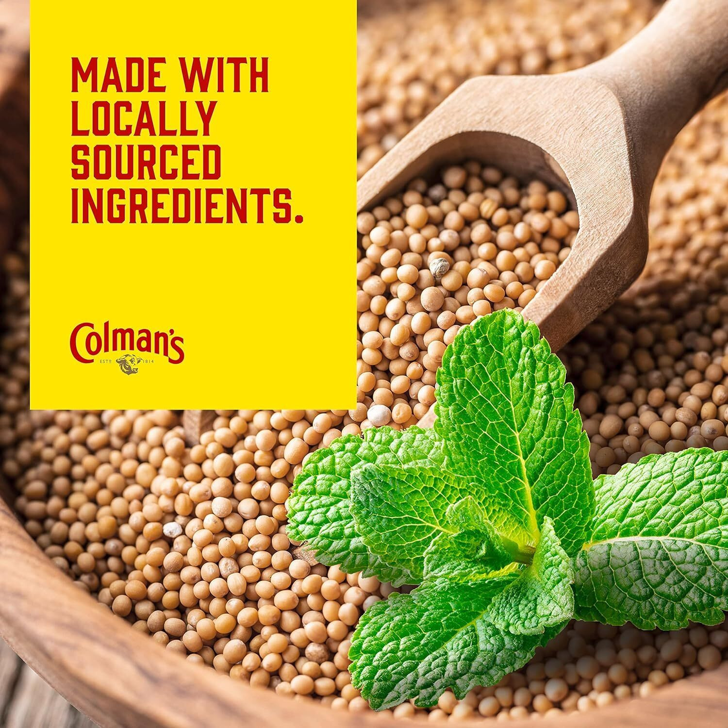 Colmans Classic Mint Sauce 165 Grams (Pack Of 1)