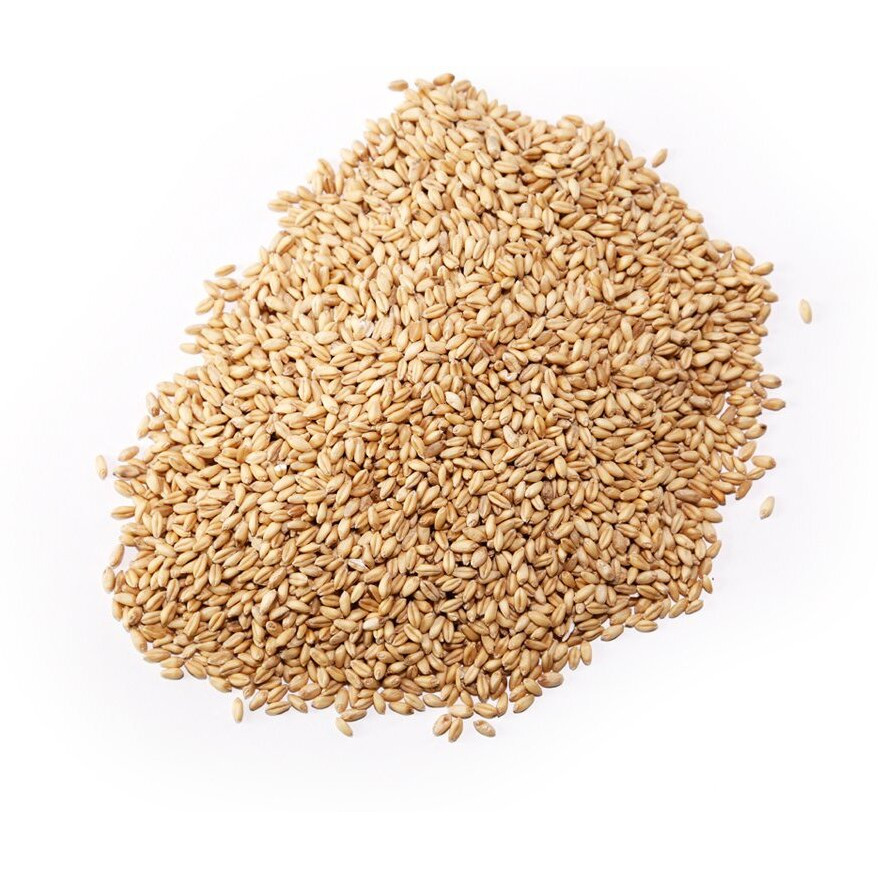 Royal Lee Organics Organic Gluten Free Grain Oat Groats 10 Lb Bag