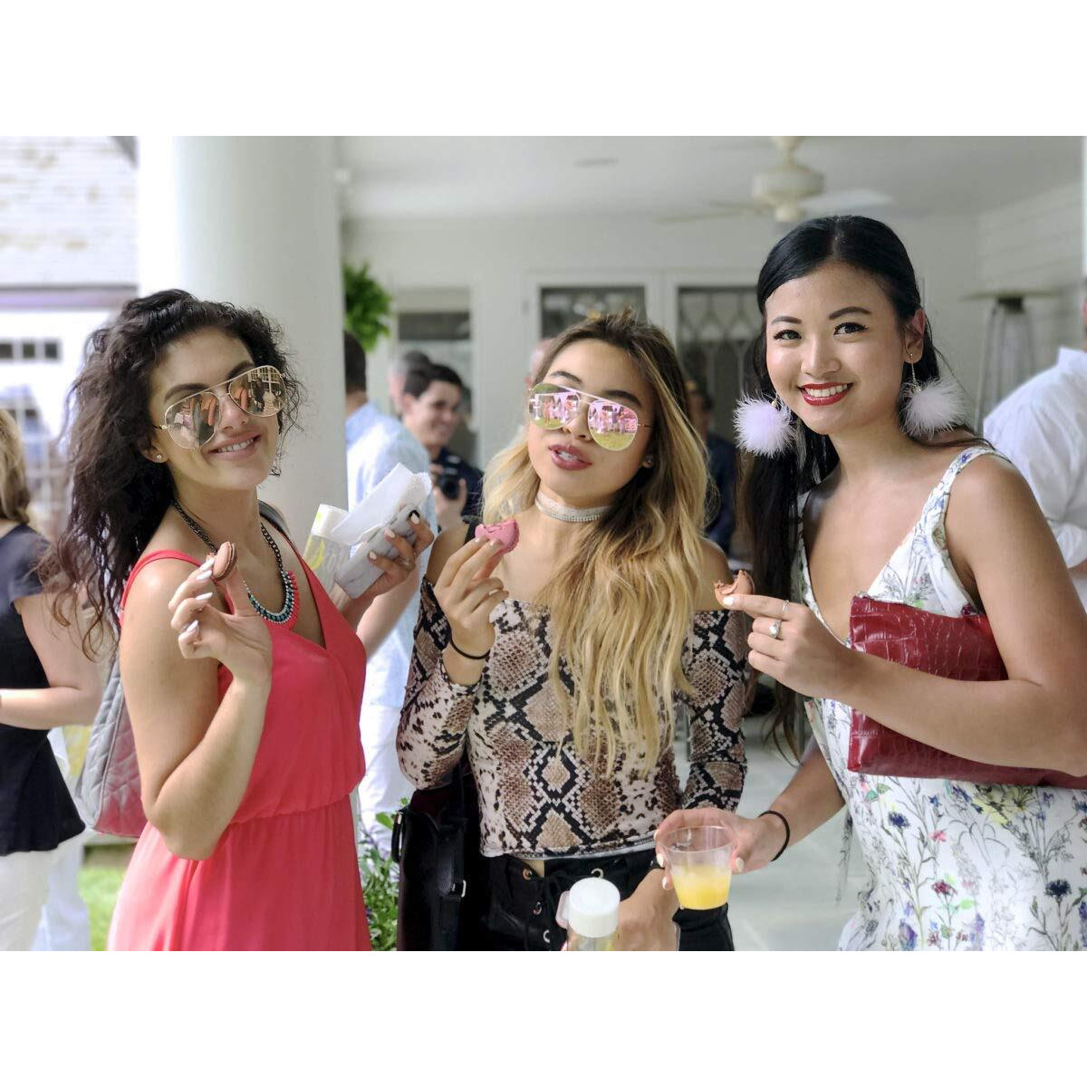 Macaron Box Of 48 Assorted Flavors