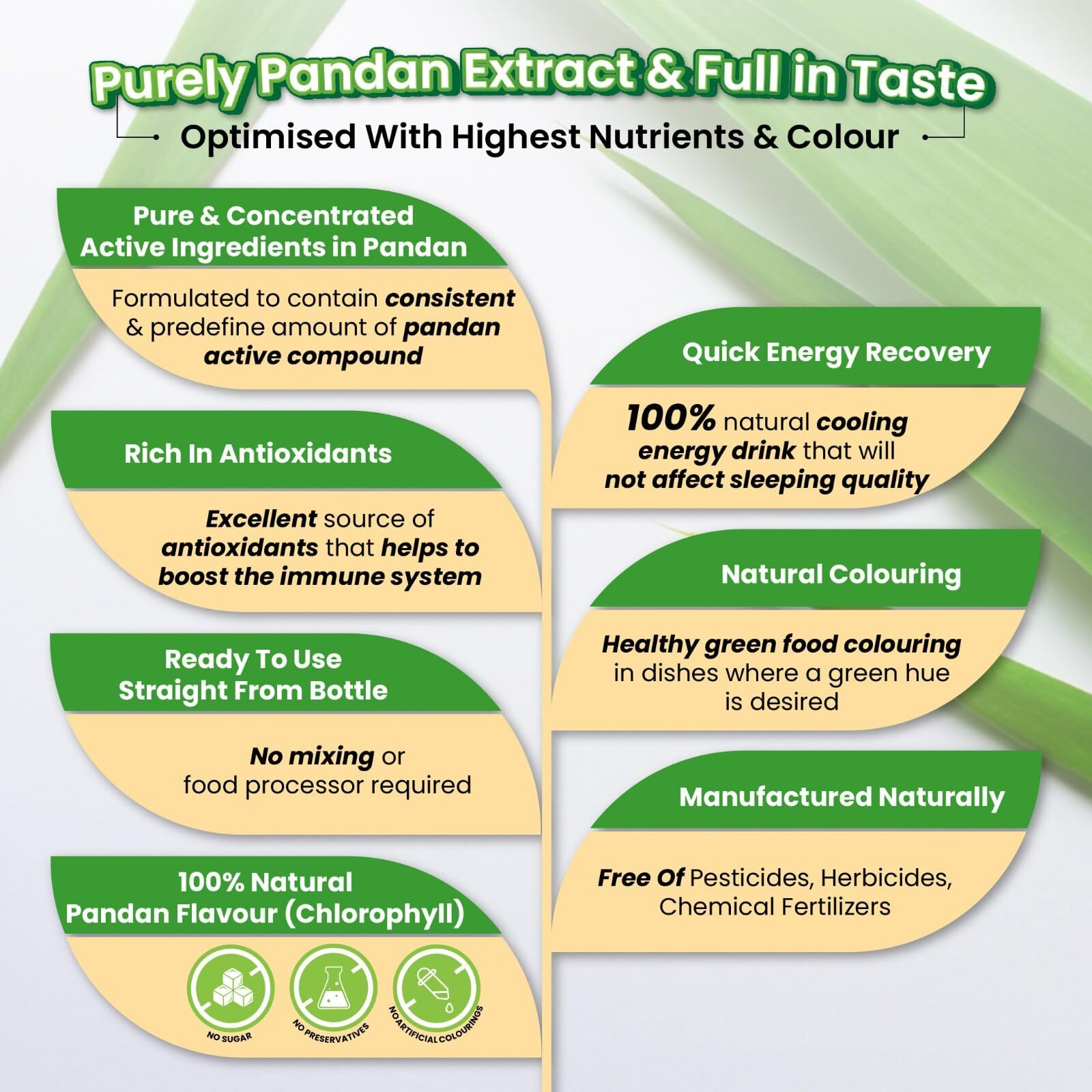 Pandan Extract Concentrate For Bakery & Beverage | Standardized Plant Extract Of The East, Fresh Natural Asian Gourmet Flavoring Ingredient (60G)