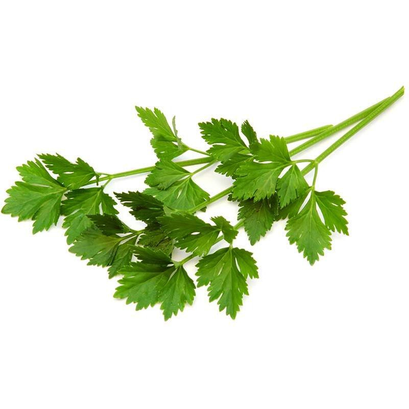 Biokoma Pure And Organic Lovage Dried Leaves 50G (1.76Oz) In Resealable Moisture Proof Pouch, Usda Certified Organic - Herbal Tea, No Additives, No Preservatives, No Gmo